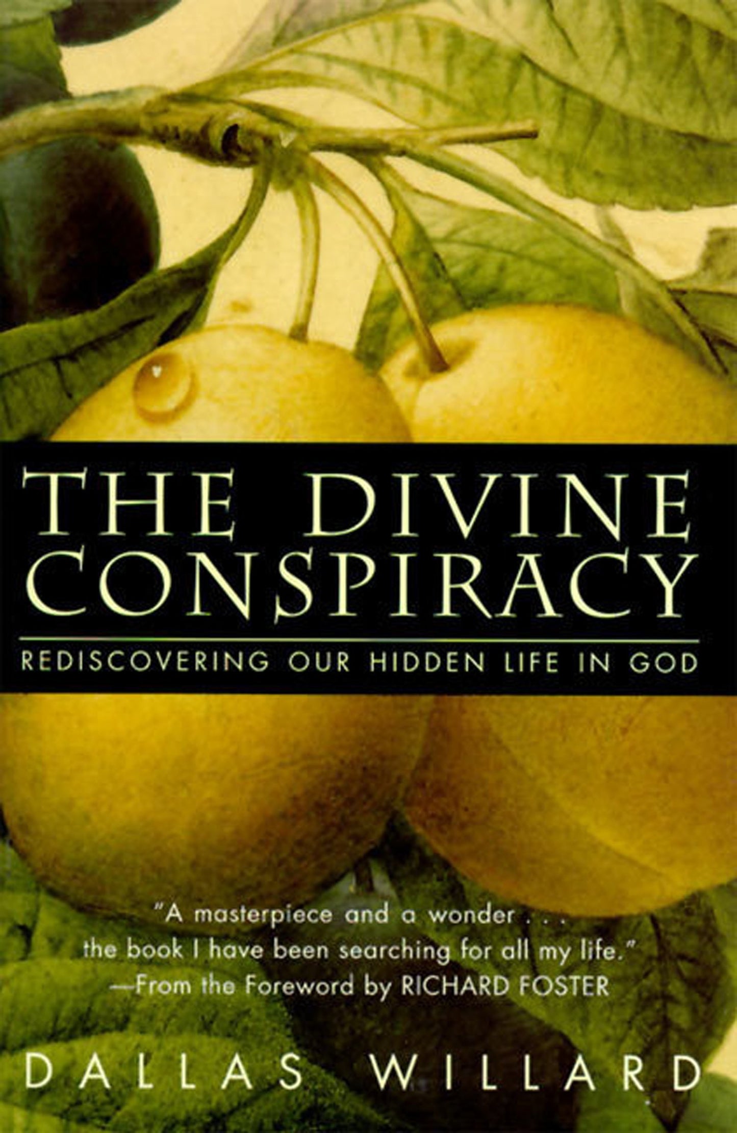 The Divine Conspiracy: Rediscovering Our Hidden Life In God