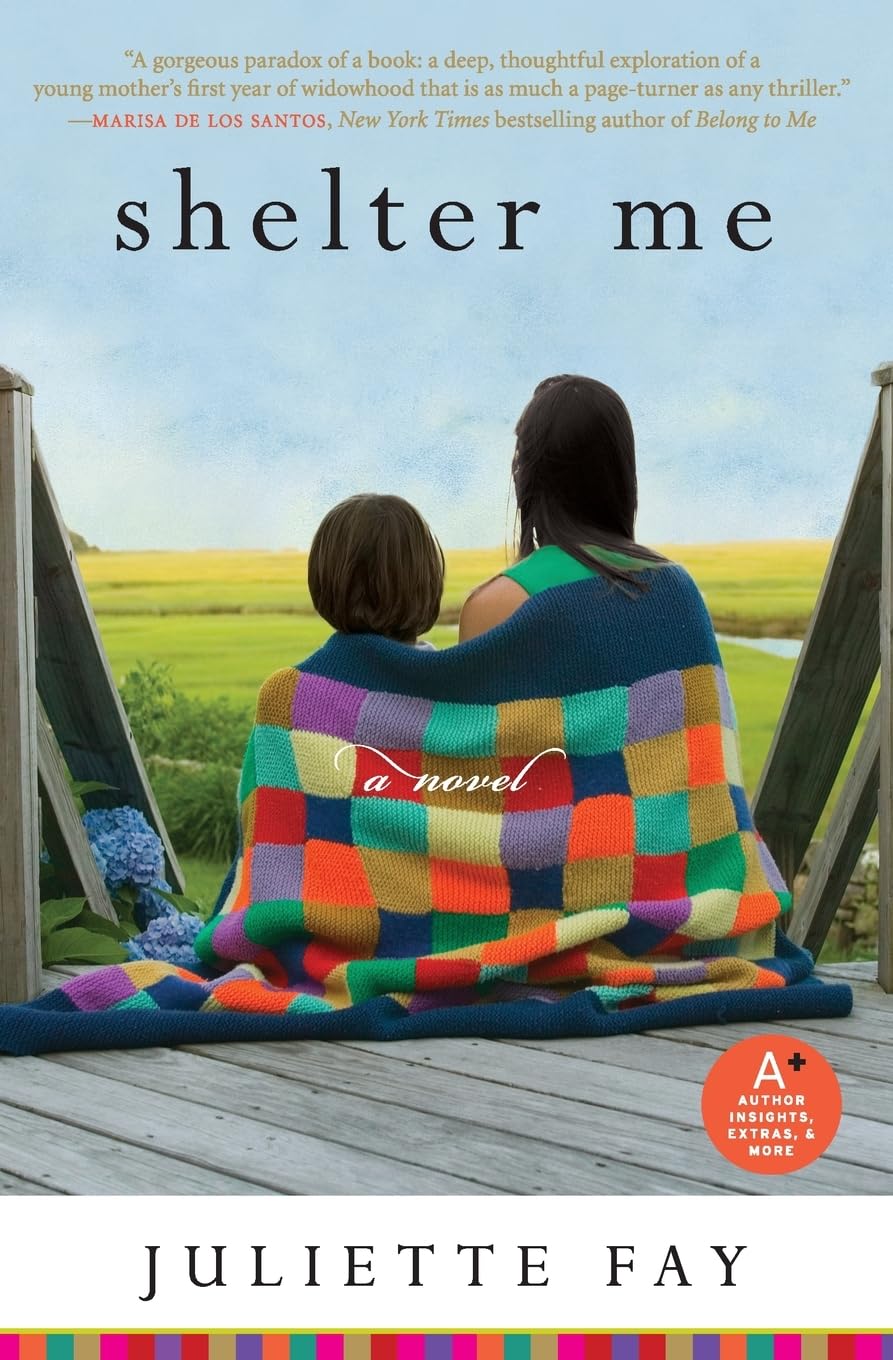Shelter Me: A Novel About Grief, Fierce Motherhood, and Unexpected Love