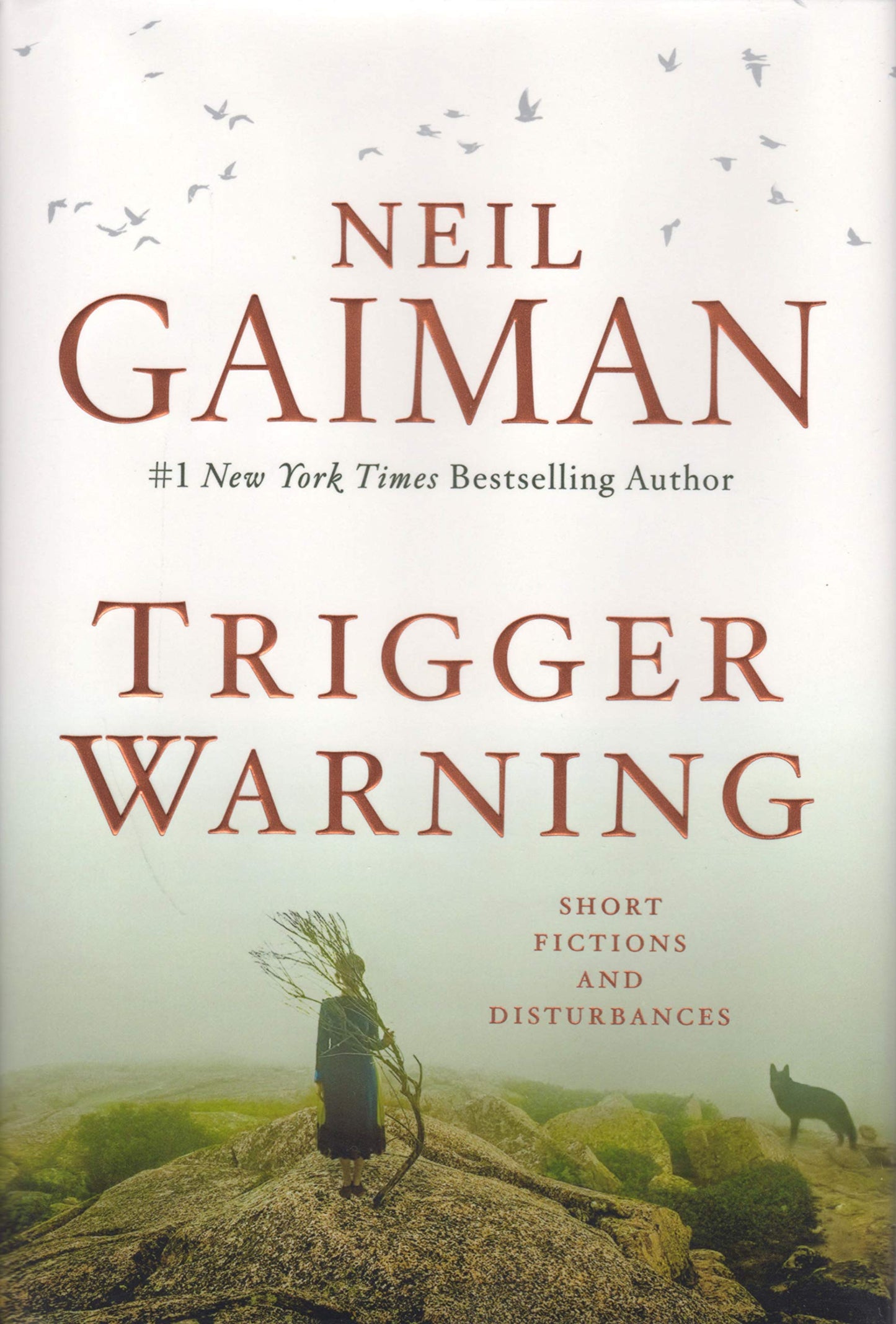 Trigger Warning: Short Fictions and Disturbances - 8478