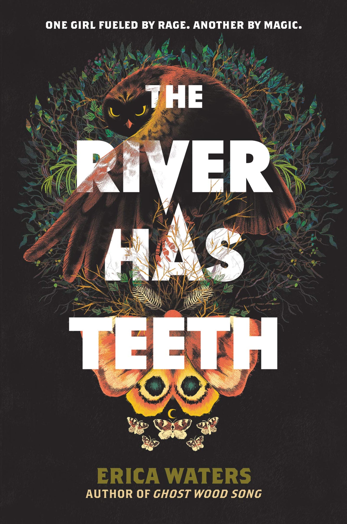 The River Has Teeth - 2323
