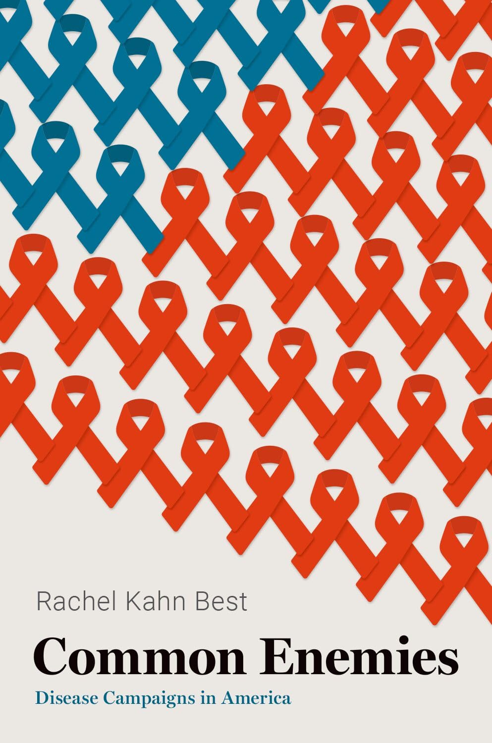 Common Enemies: Disease Campaigns in America