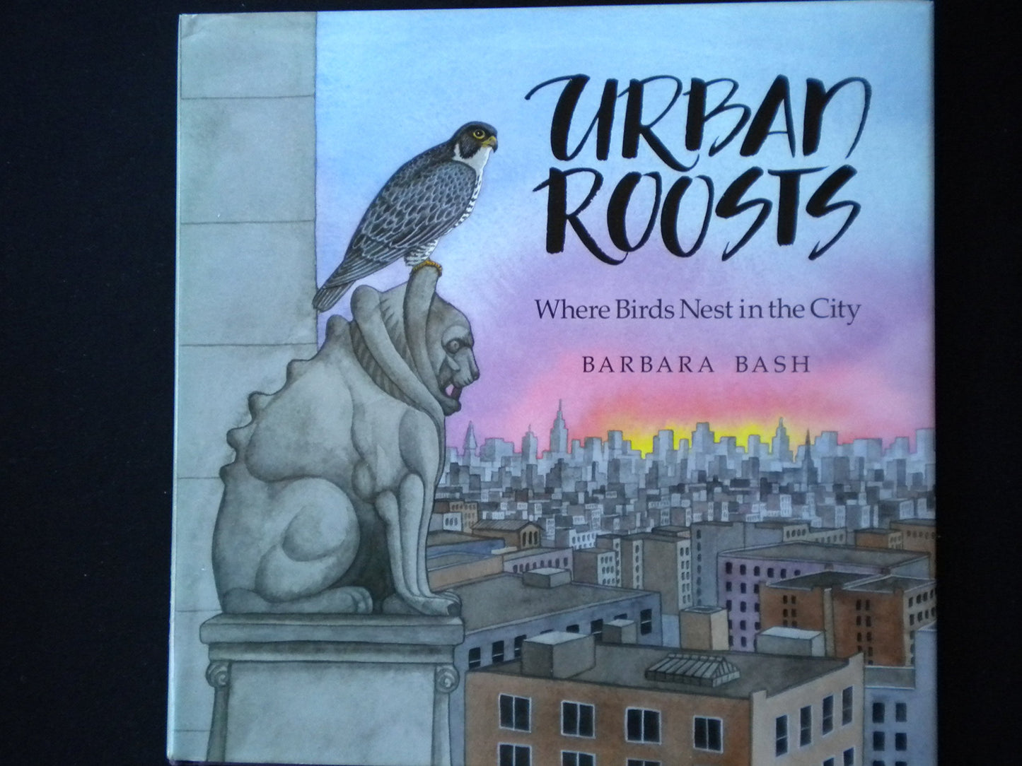 Urban Roosts: Where Birds Nest in the City - 6364