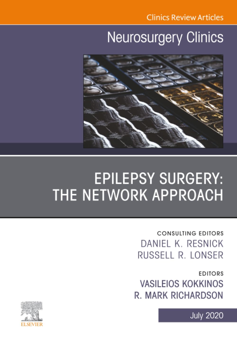 Epilepsy Surgery: The Network Approach, An Issue of Neurosurgery Clinics of North America (The Clinics: Surgery, Volume 31-3)