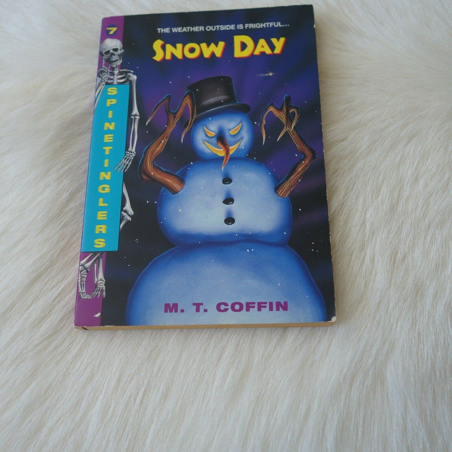 Snow Day (Spinetinglers)