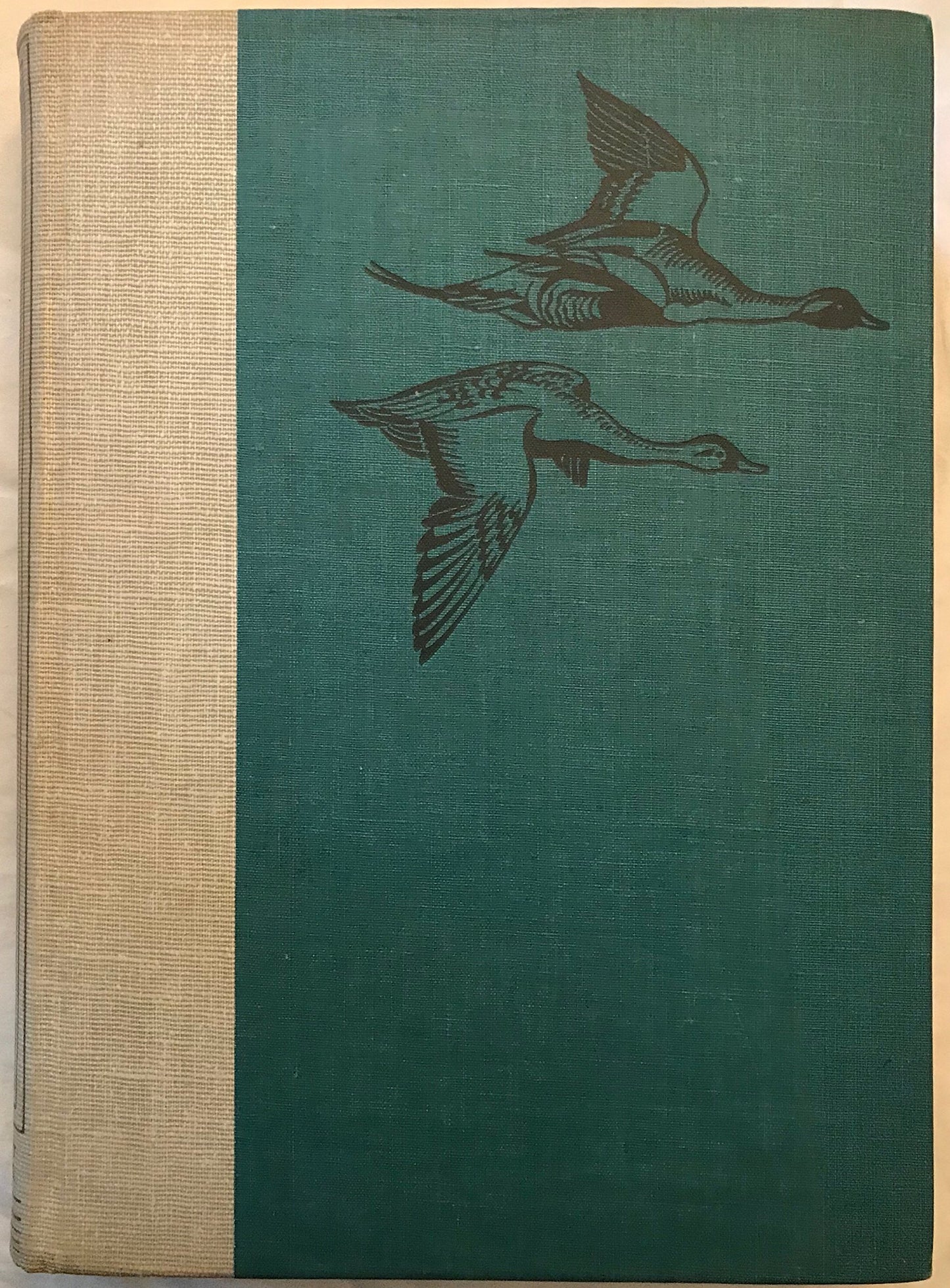 Birds of America