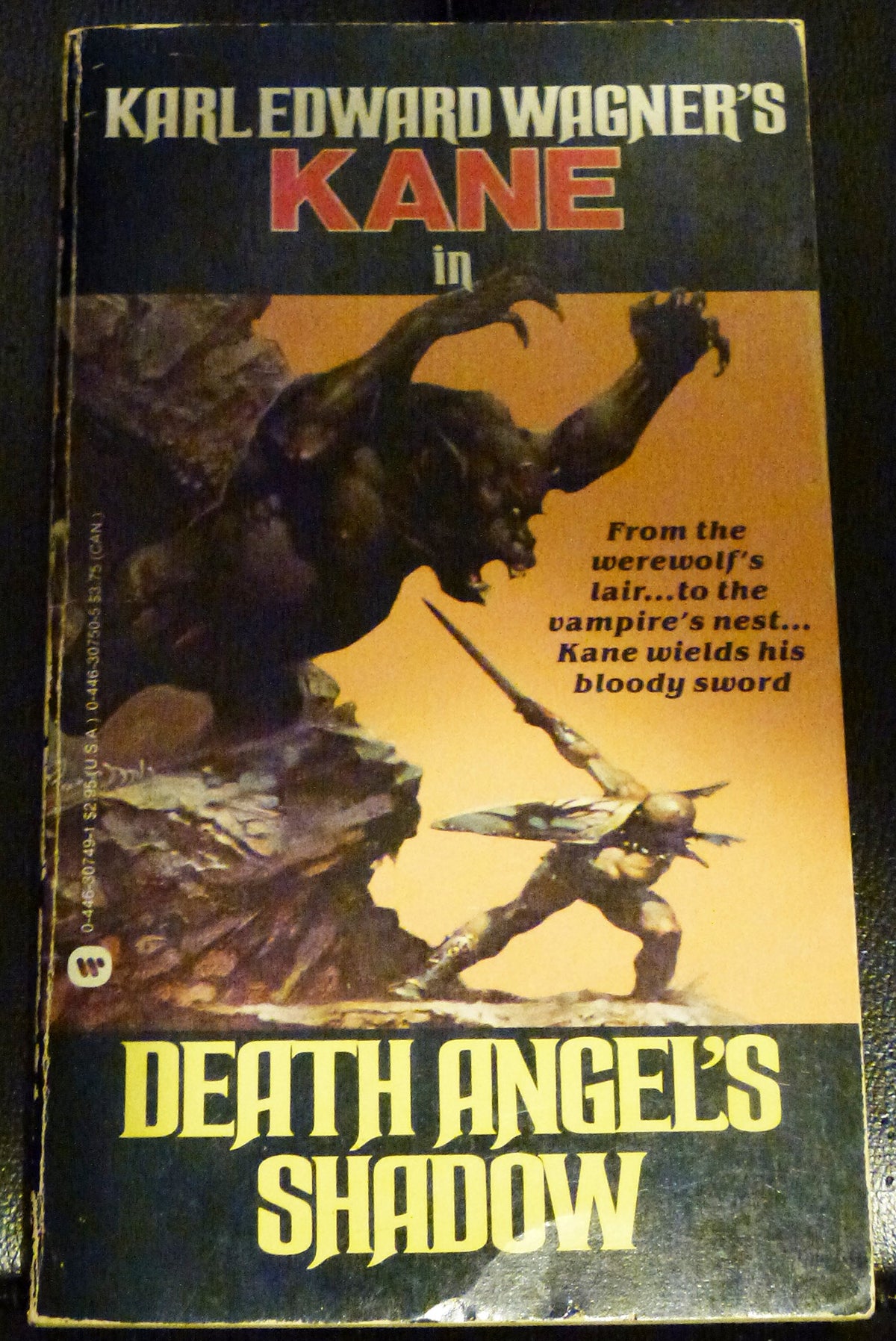 Death Angel's Shadow