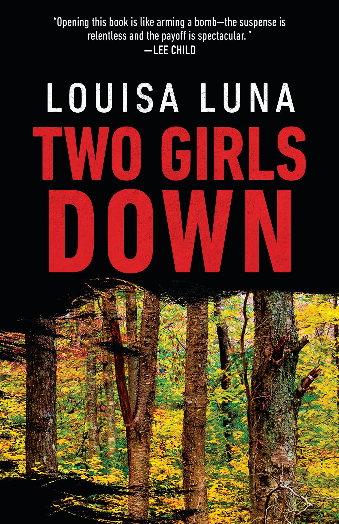 Two Girls Down (An Alice Vega Novel)