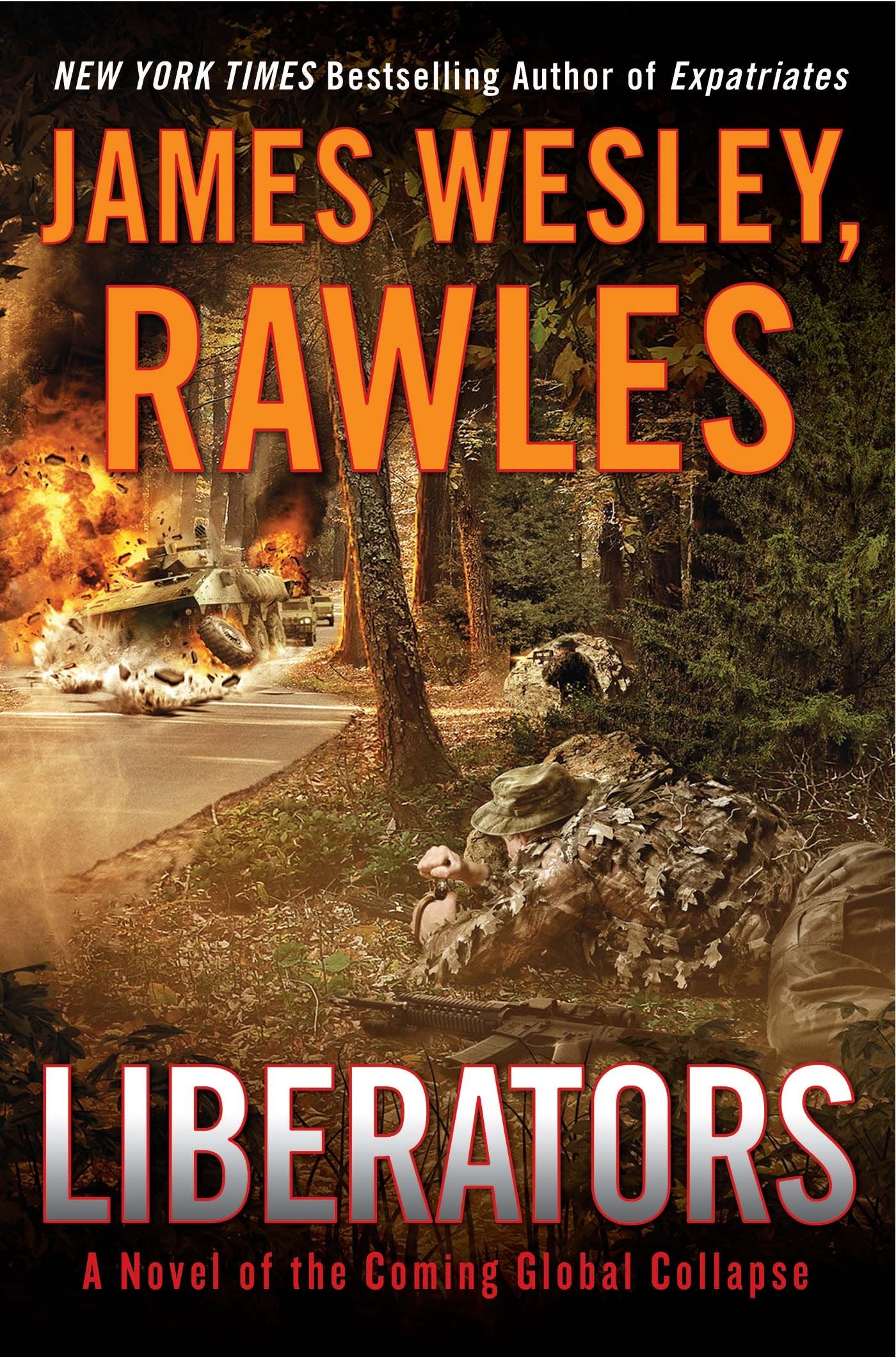 Liberators: A Novel of the Coming Global Collapse - 3295