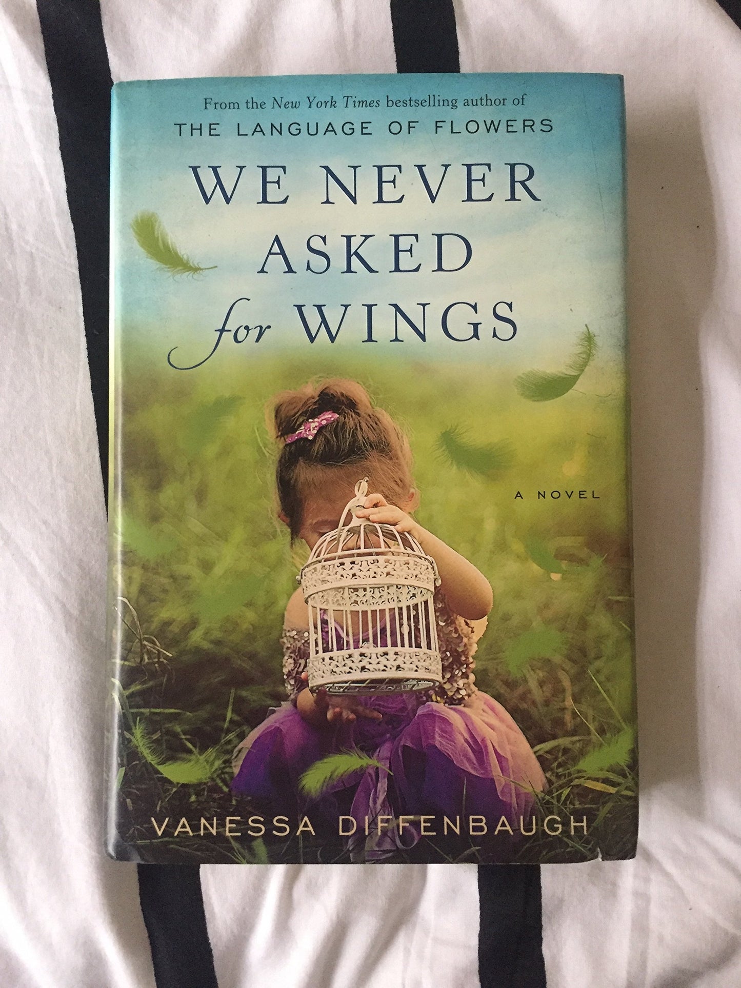 We Never Asked for Wings: A Novel