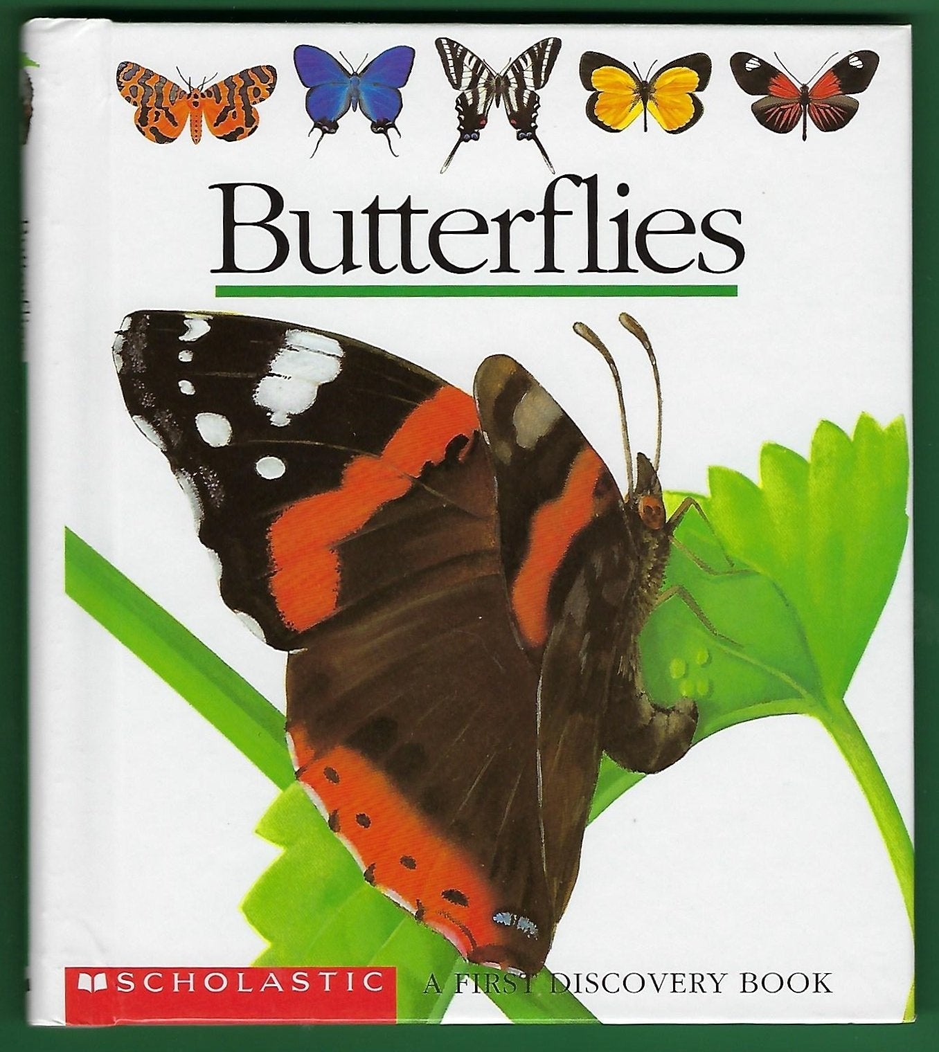 Butterflies (First Discovery)
