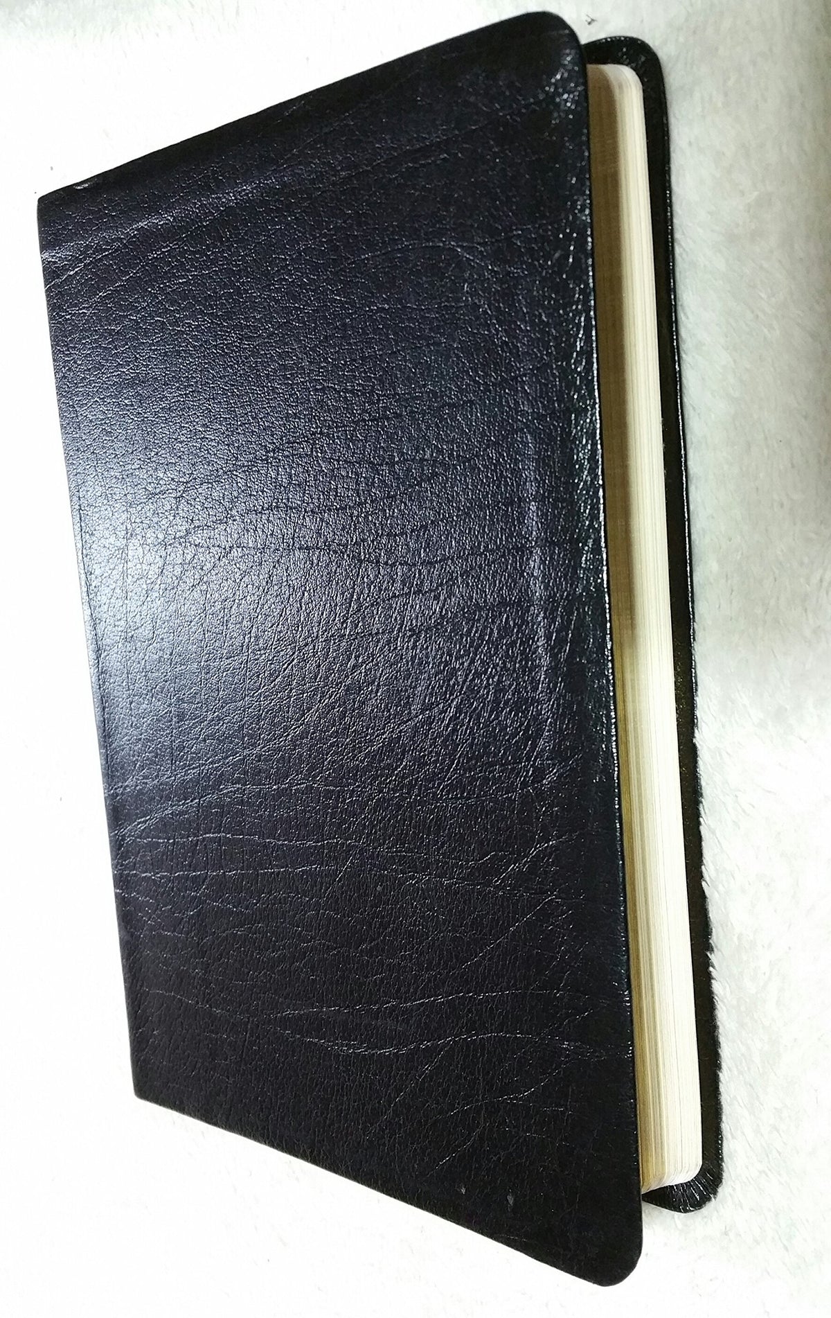 The United Methodist Hymnal (10th printing)
