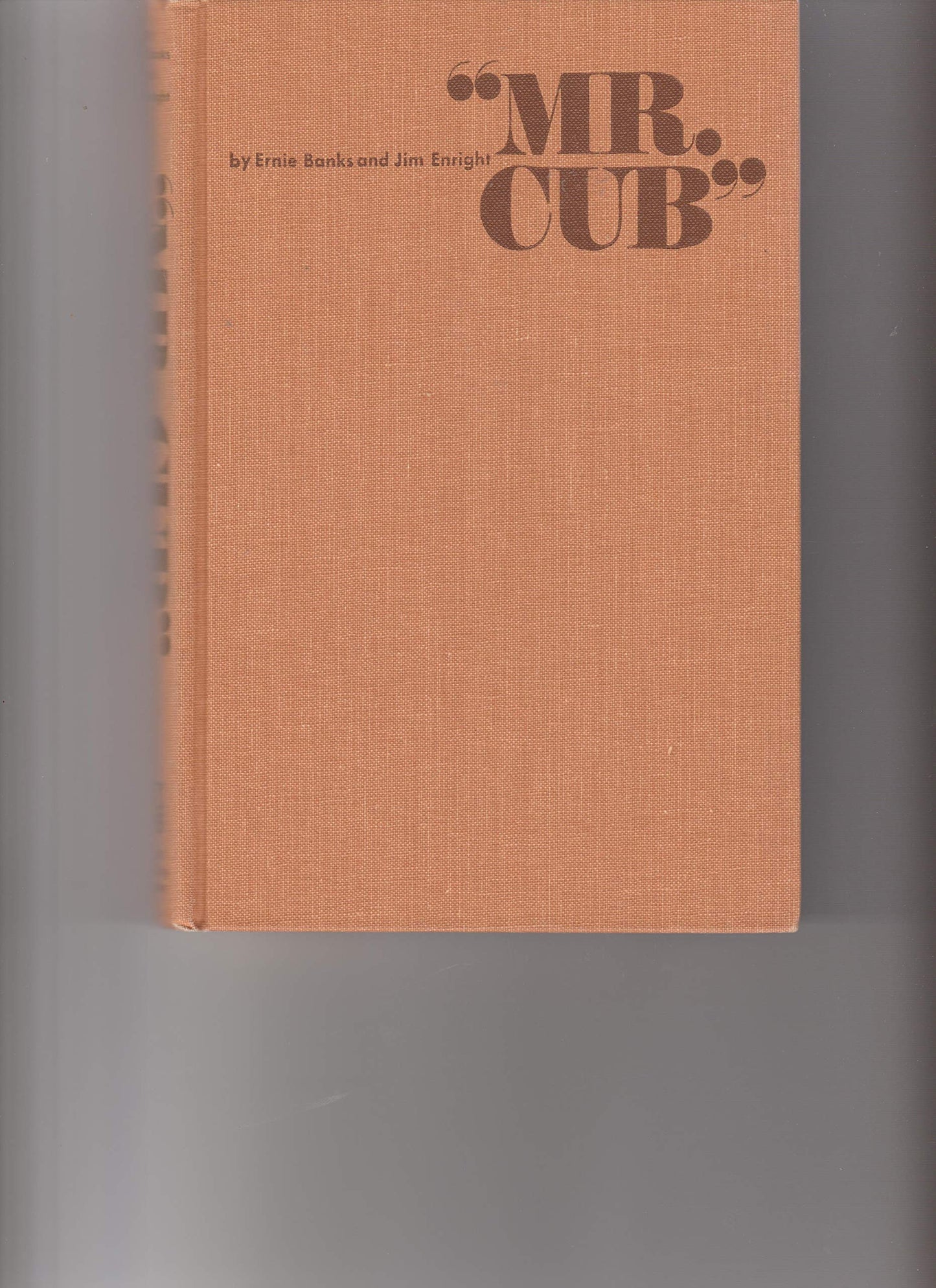 Mr. Cub - 8417