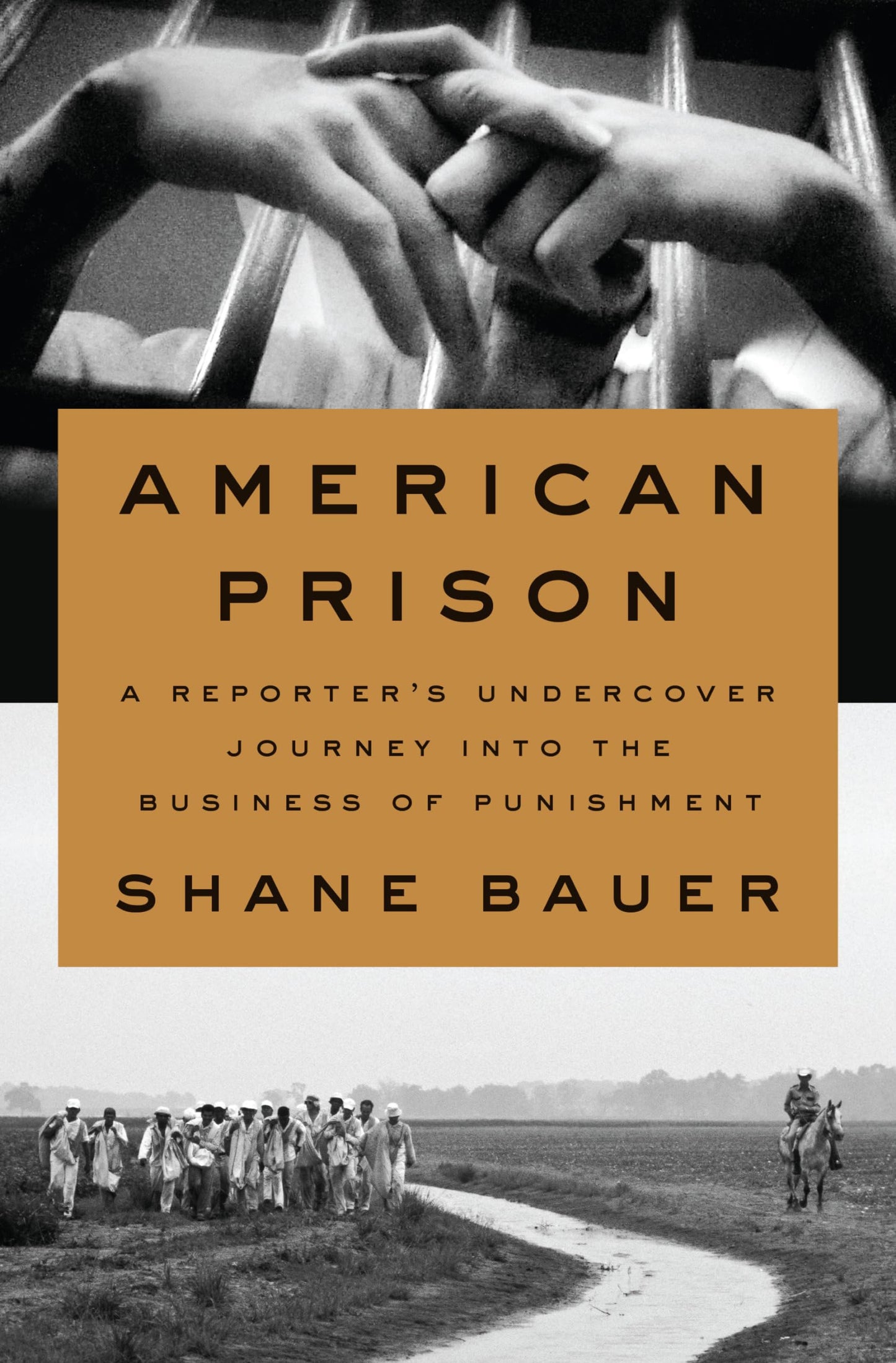 American Prison: A Reporter's Undercover Journey into the Business of Punishment - 9959