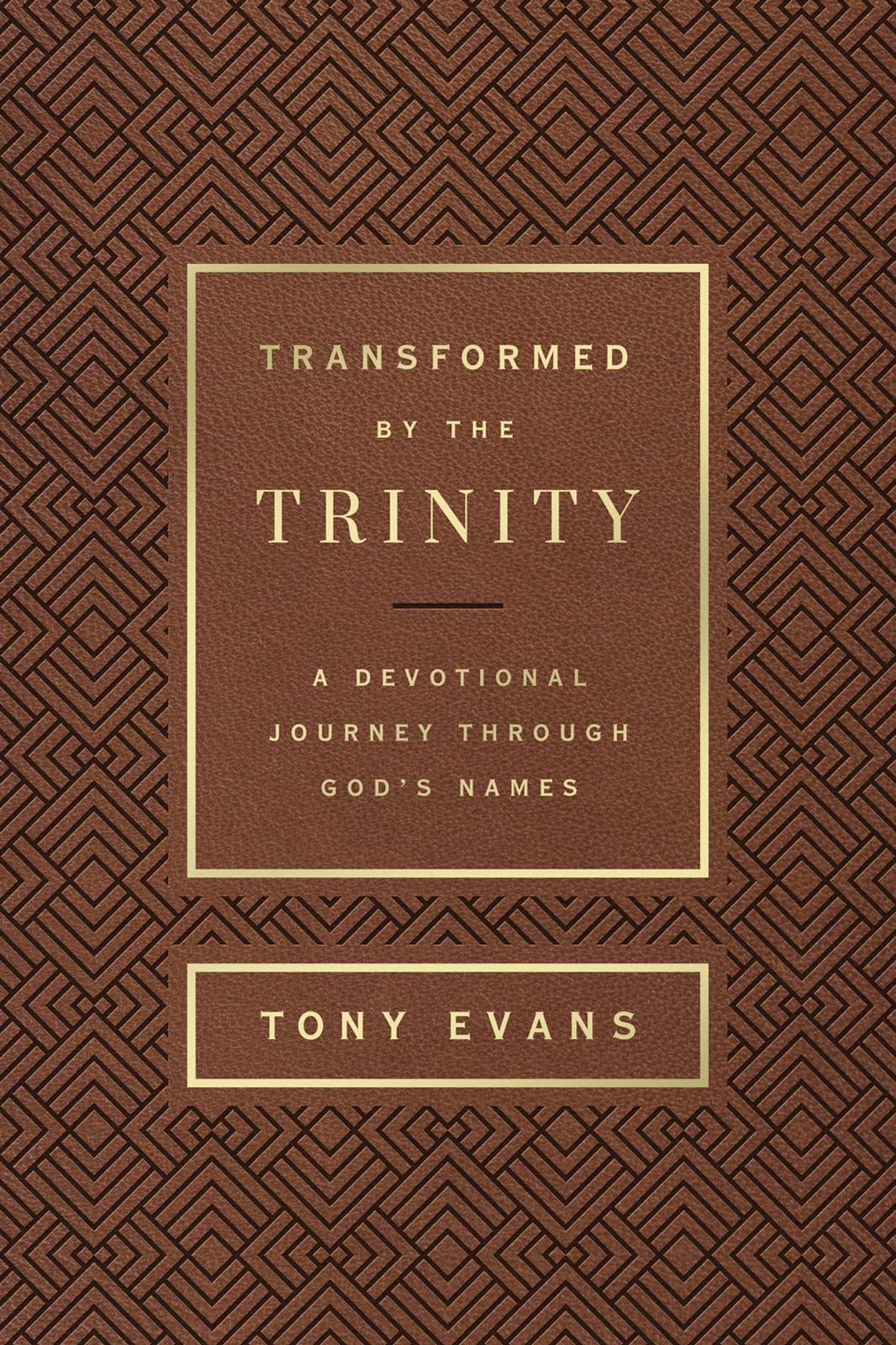 Transformed by the Trinity (Milano Softone): A Devotional Journey Through God's Names (The Names of God Series) - 394