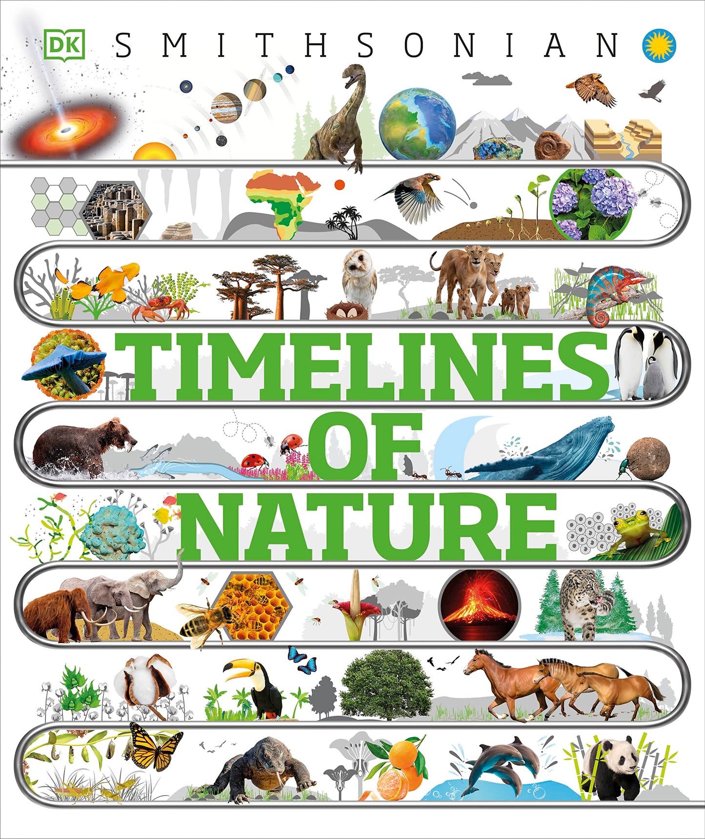 Timelines of Nature: Discover the Secret Stories of Our Ever-Changing Natural World (DK Children's Timelines)