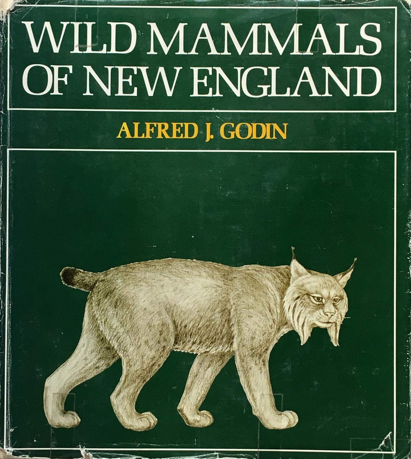 Wild Mammals of New England