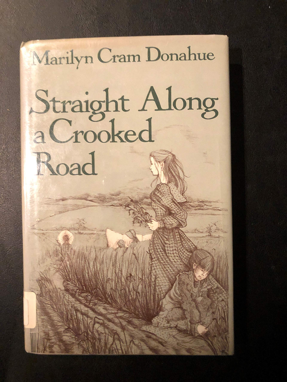 Straight Along a Crooked Road (Walker's American History Series for Young People)