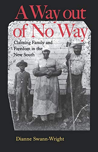 A Way out of No Way: Claiming Family and Freedom in the New South (The American South Series)
