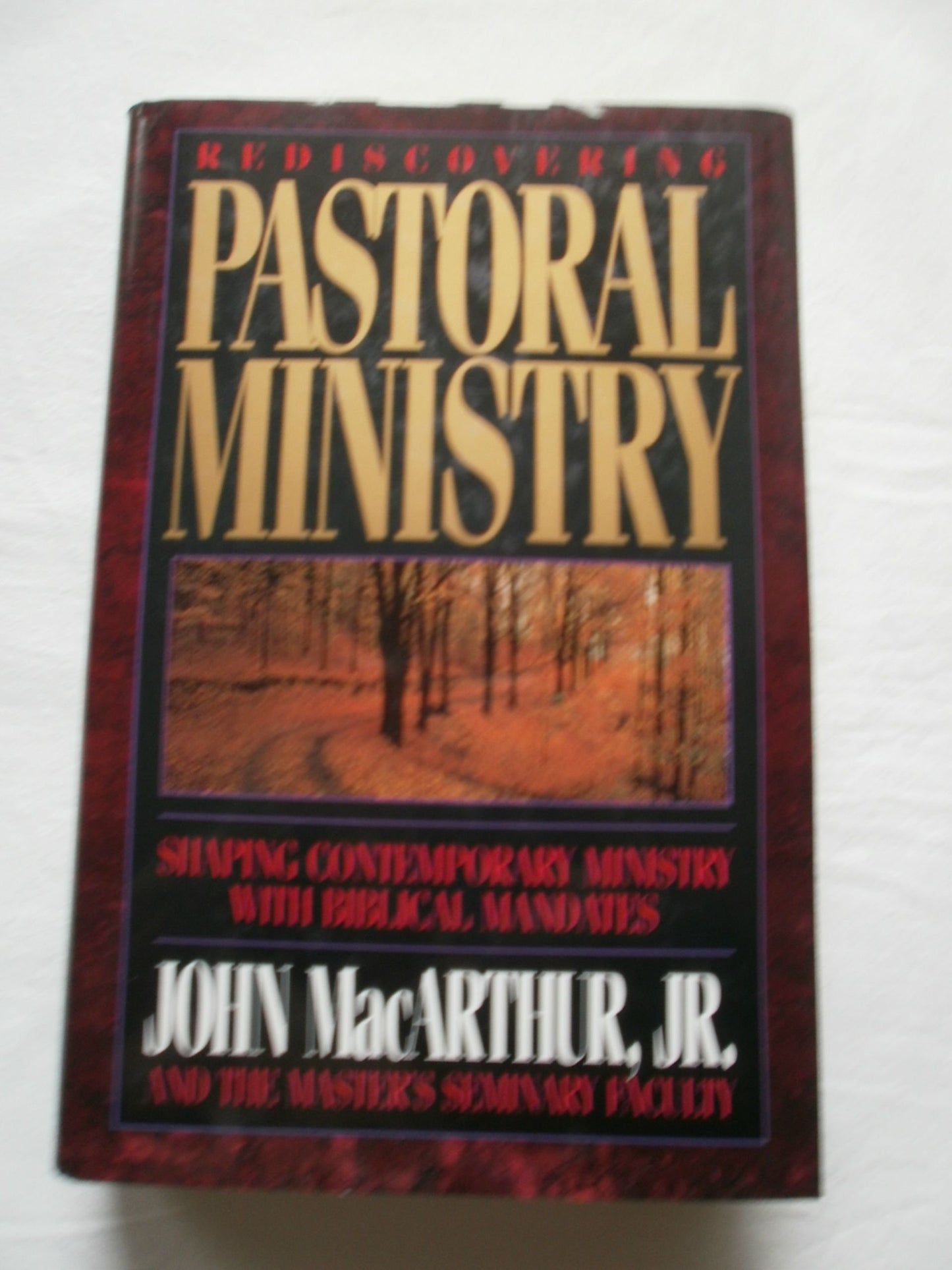 Rediscovering Pastoral Ministry - 1311