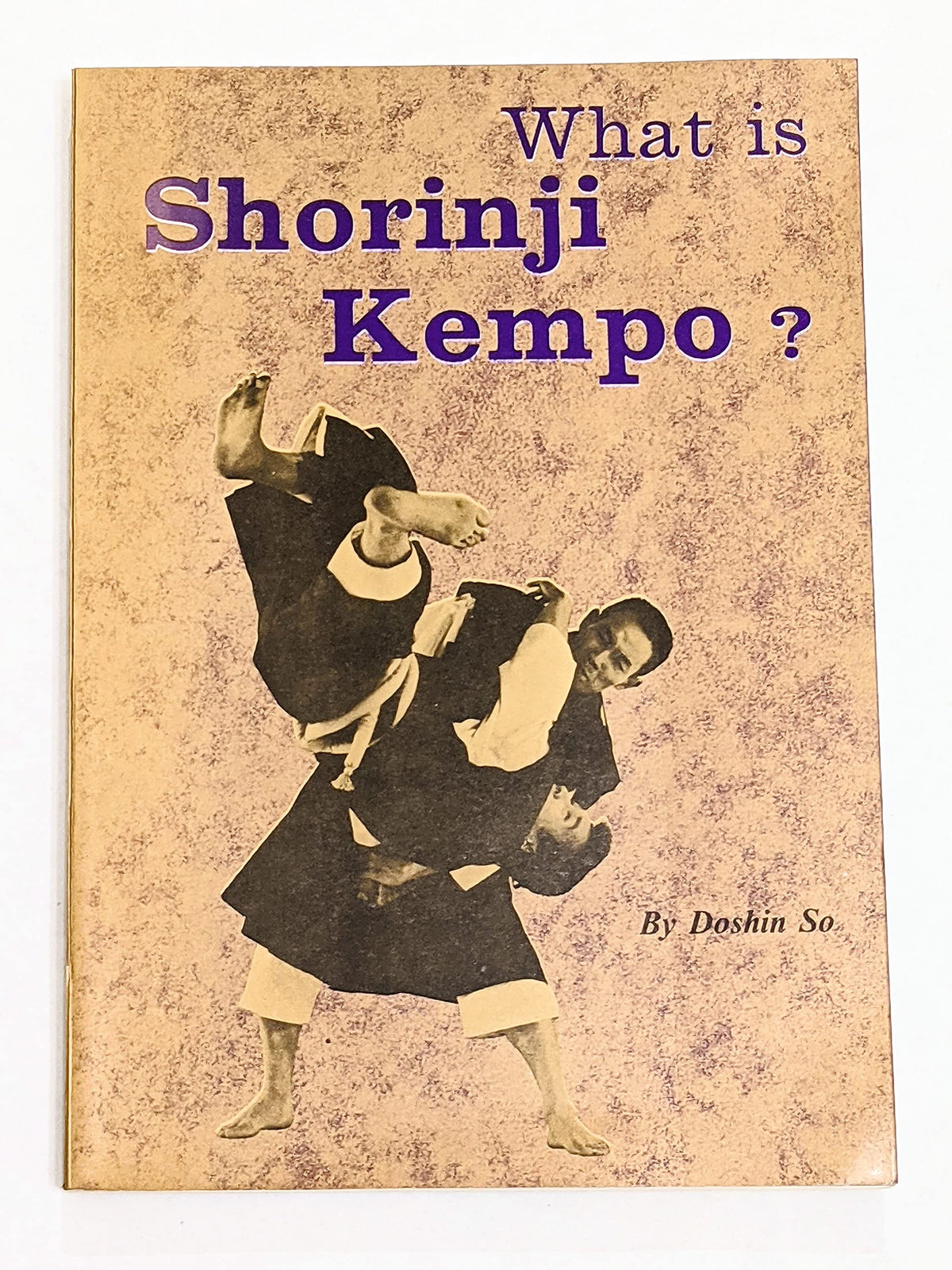 What is Shorinji Kempo?