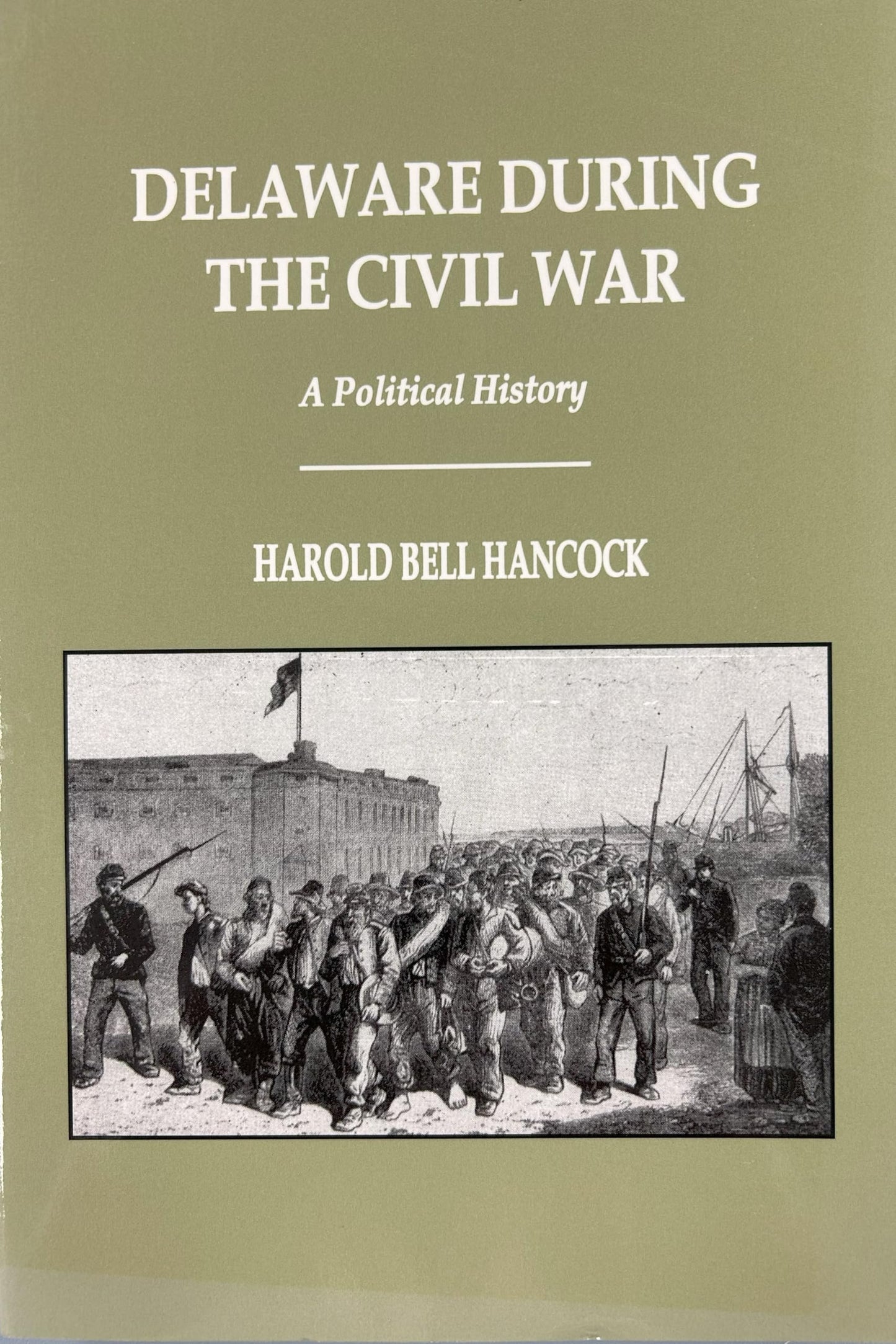 Delaware during the Civil War: A political history