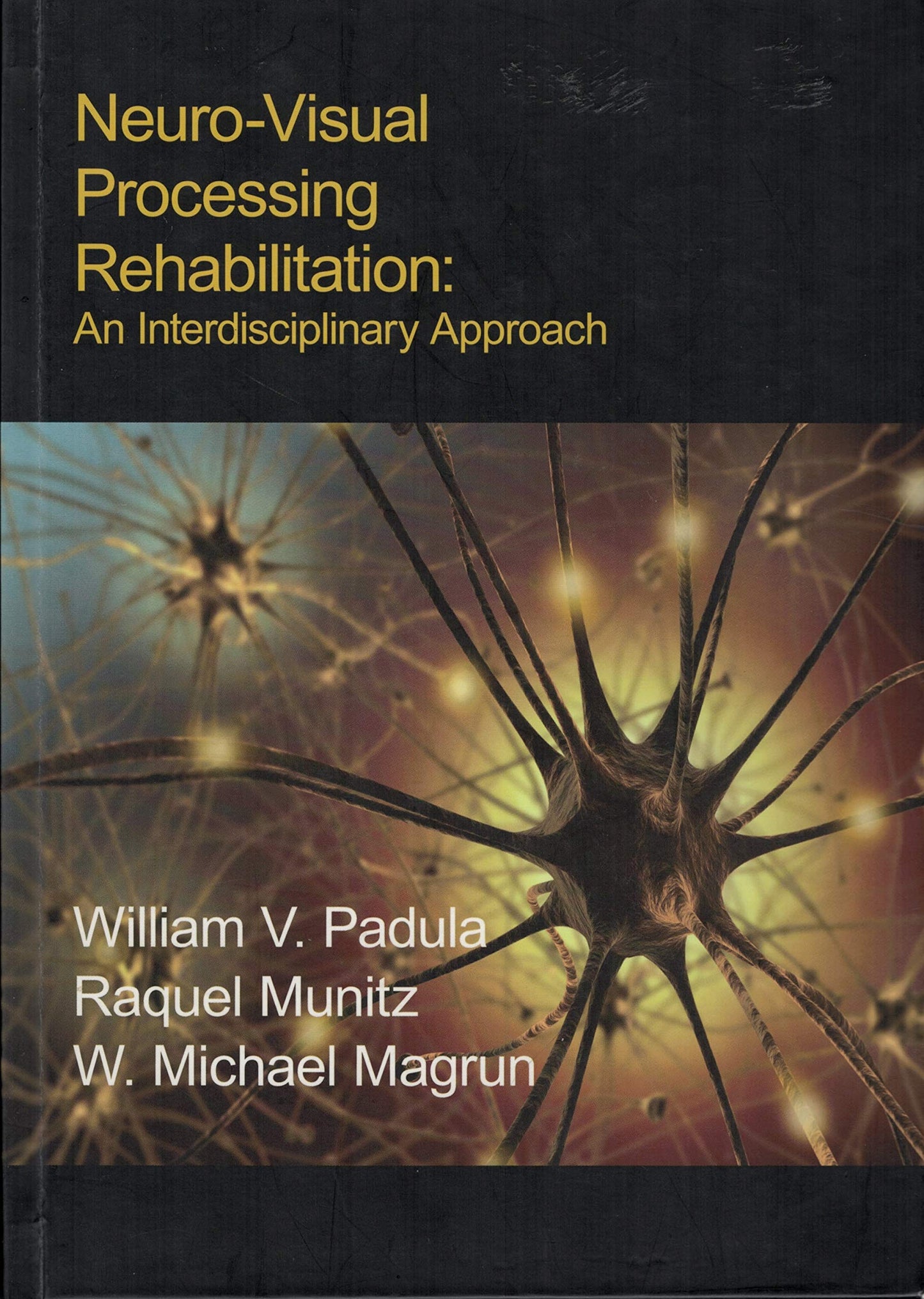 Neuro-Visual Processing Rehabilitation: An Interdisciplinary Approach