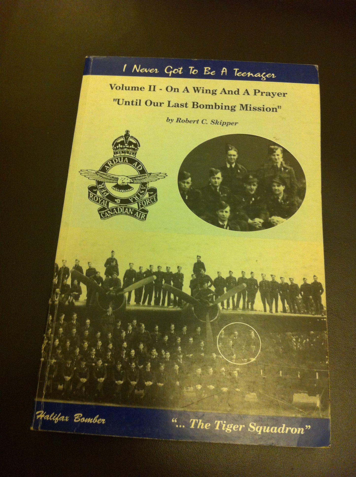 I Never Got To Be A Teenager (On A Wing And A Prayer "Until Our Last Bombing Mission", Volume 2)