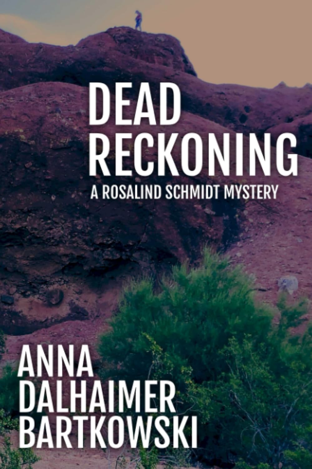 DEAD RECKONING: A Rosalind Schmidt Genealogical Mystery
