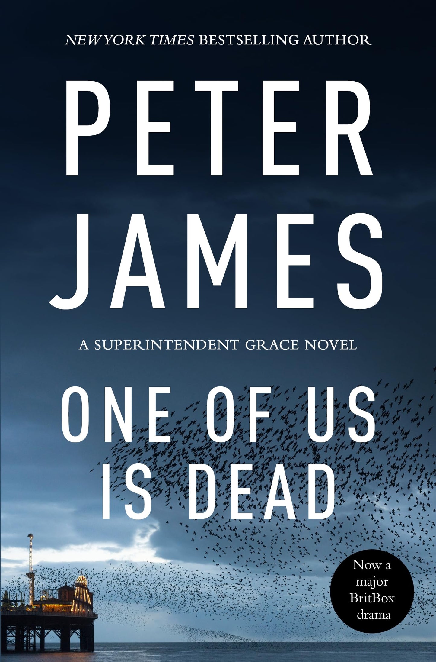 One of Us Is Dead (Roy Grace, 21)