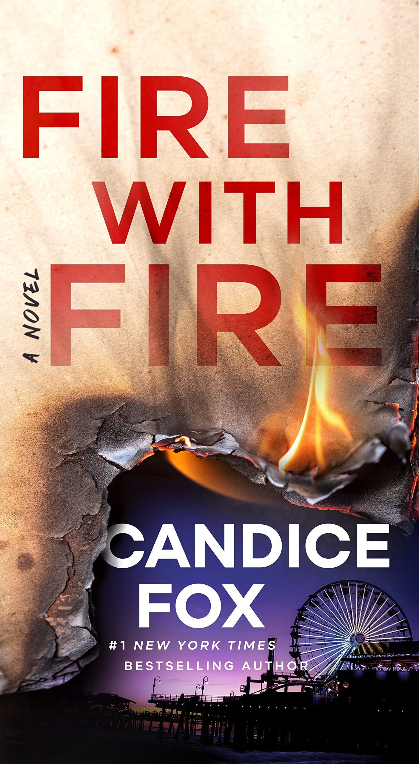 Fire with Fire: A Novel