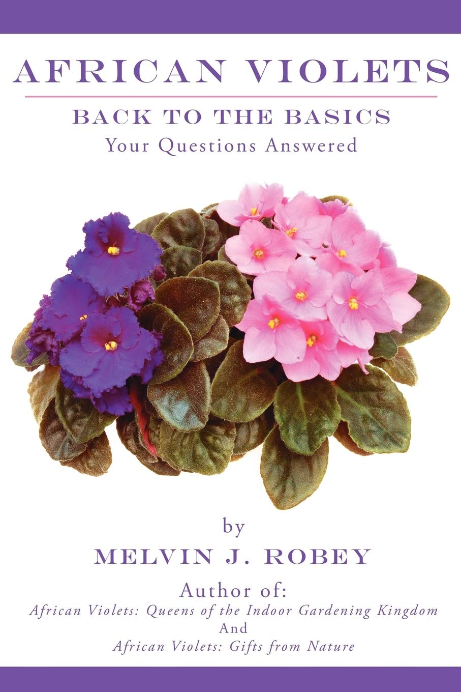 African Violets Back to the Basics: Your Questions Answered - 3393