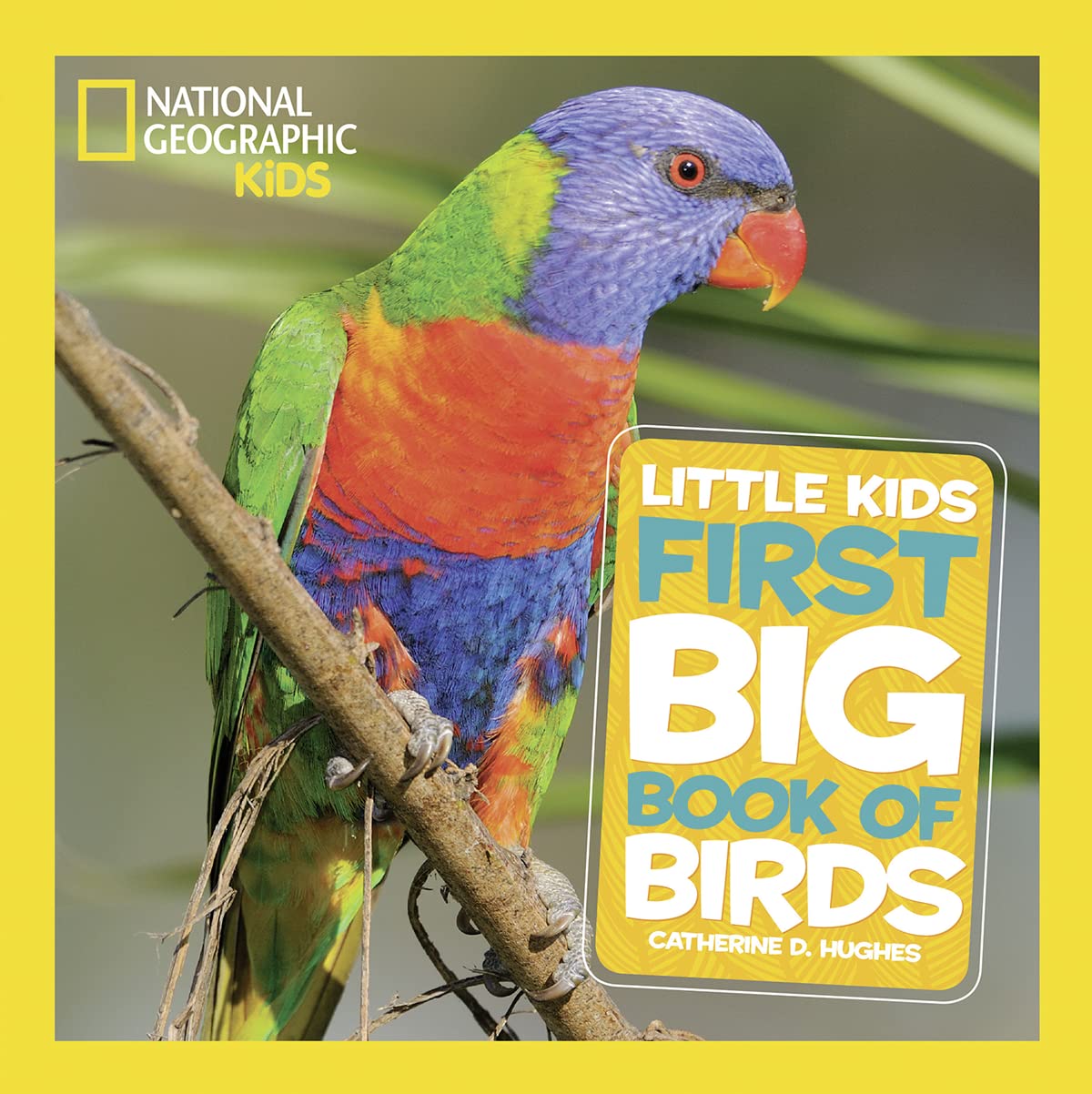 National Geographic Little Kids First Big Book of Birds (National Geographic Little Kids First Big Books) - 4040