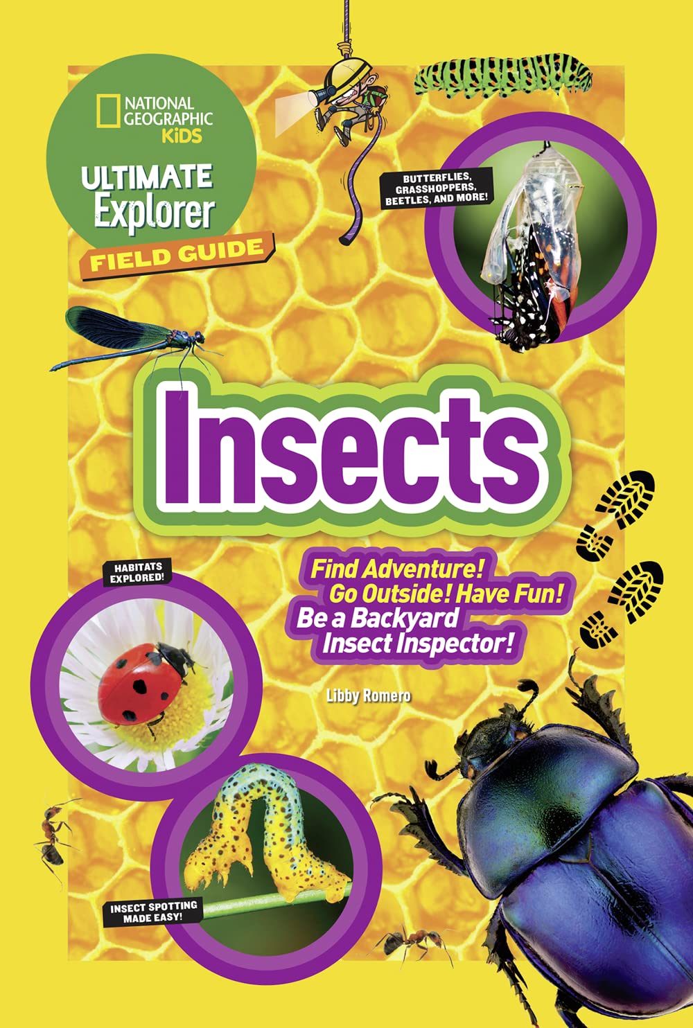 Ultimate Explorer Field Guide: Insects: Find Adventure! Go Outside! Have Fun! Be a Backyard Insect Inspector! - 61