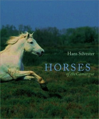 Horses of the Camargue