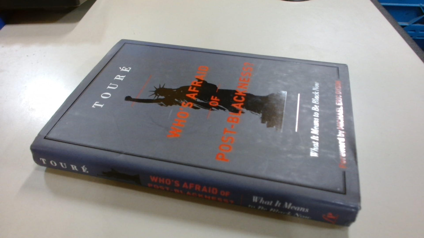 Who's Afraid of Post-Blackness?: What It Means to Be Black Now - 8964