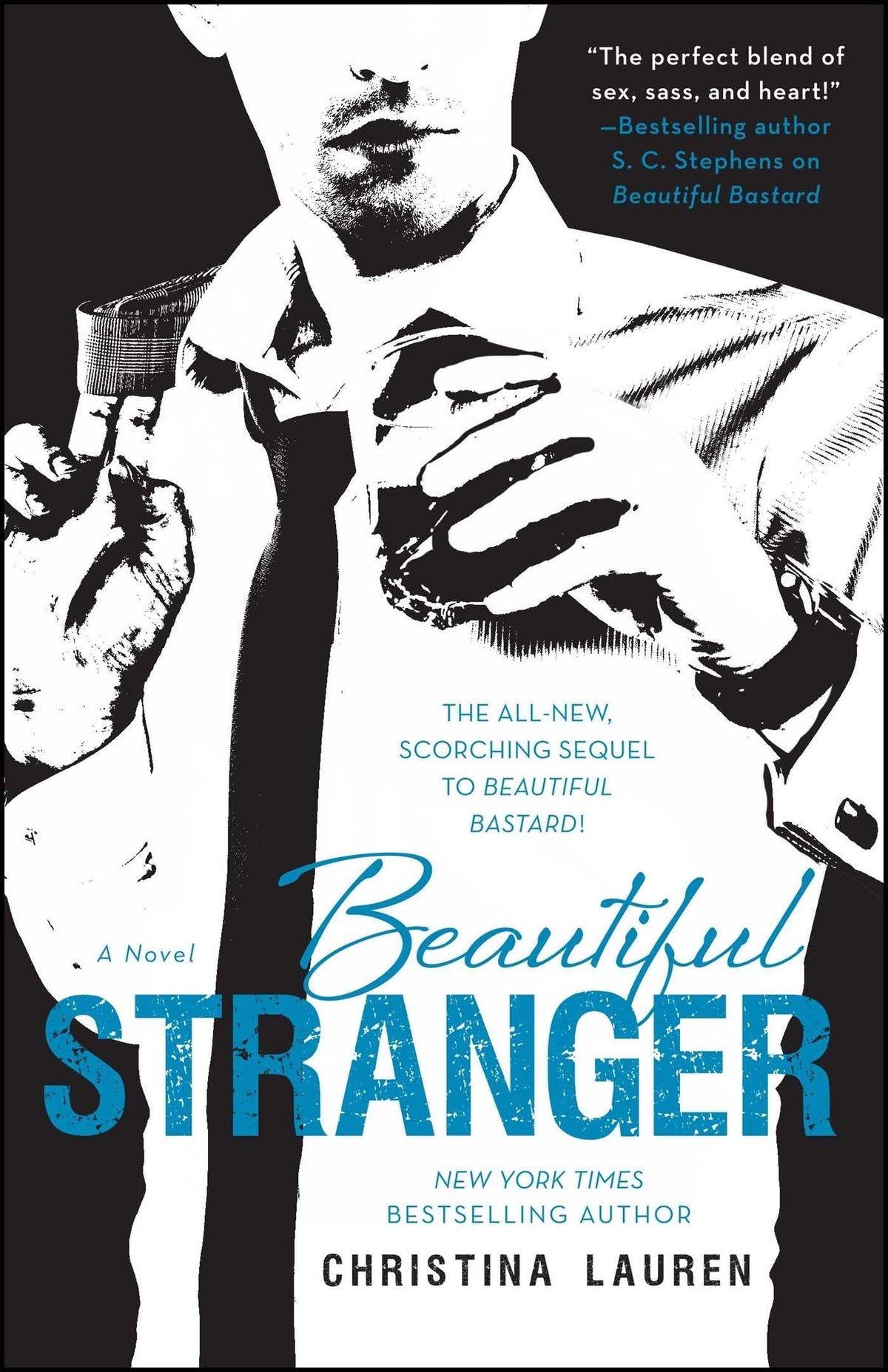Beautiful Stranger (The Beautiful Series)