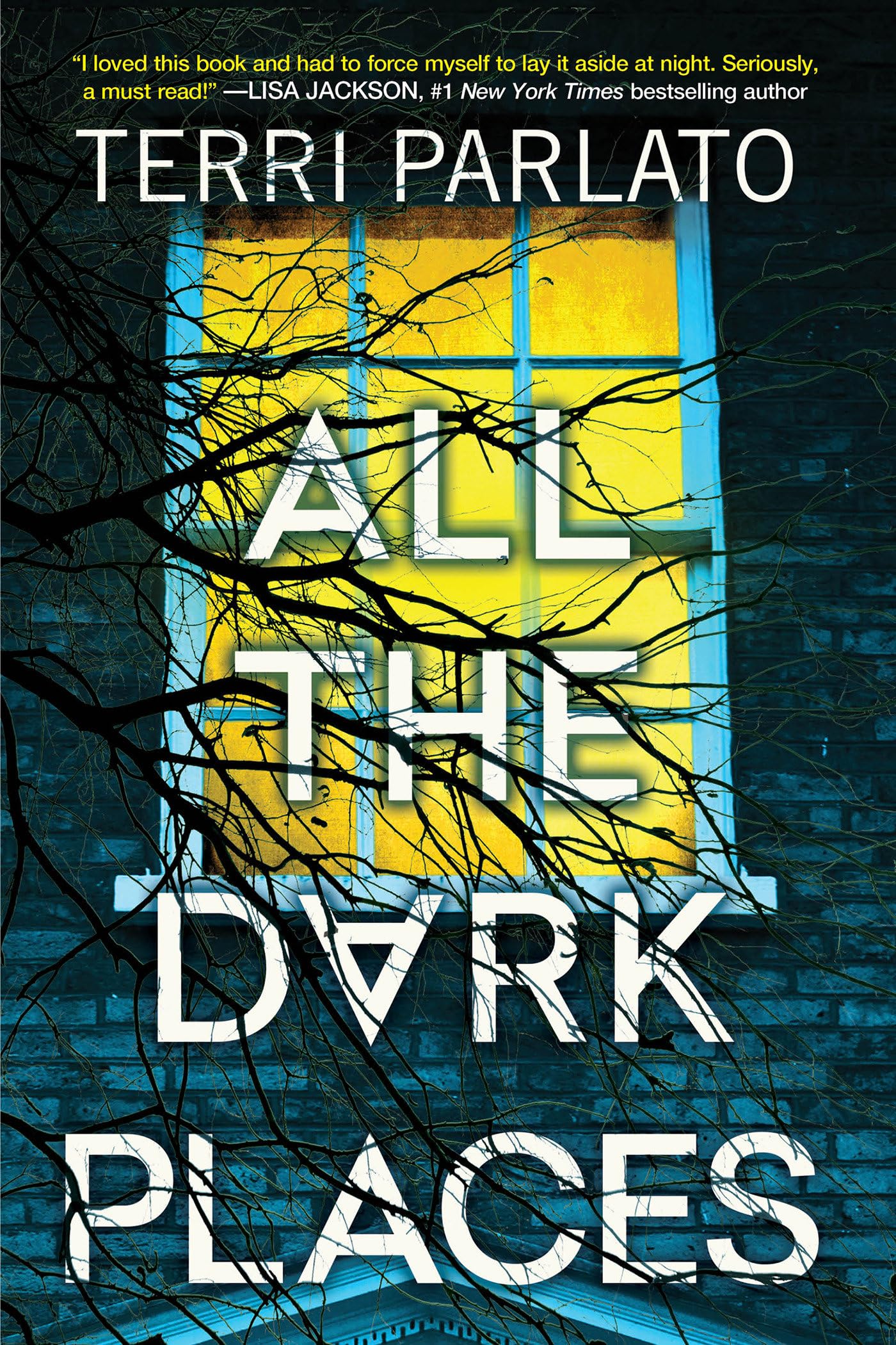 All the Dark Places: A Riveting Novel of Suspense with a Shocking Twist - 3165