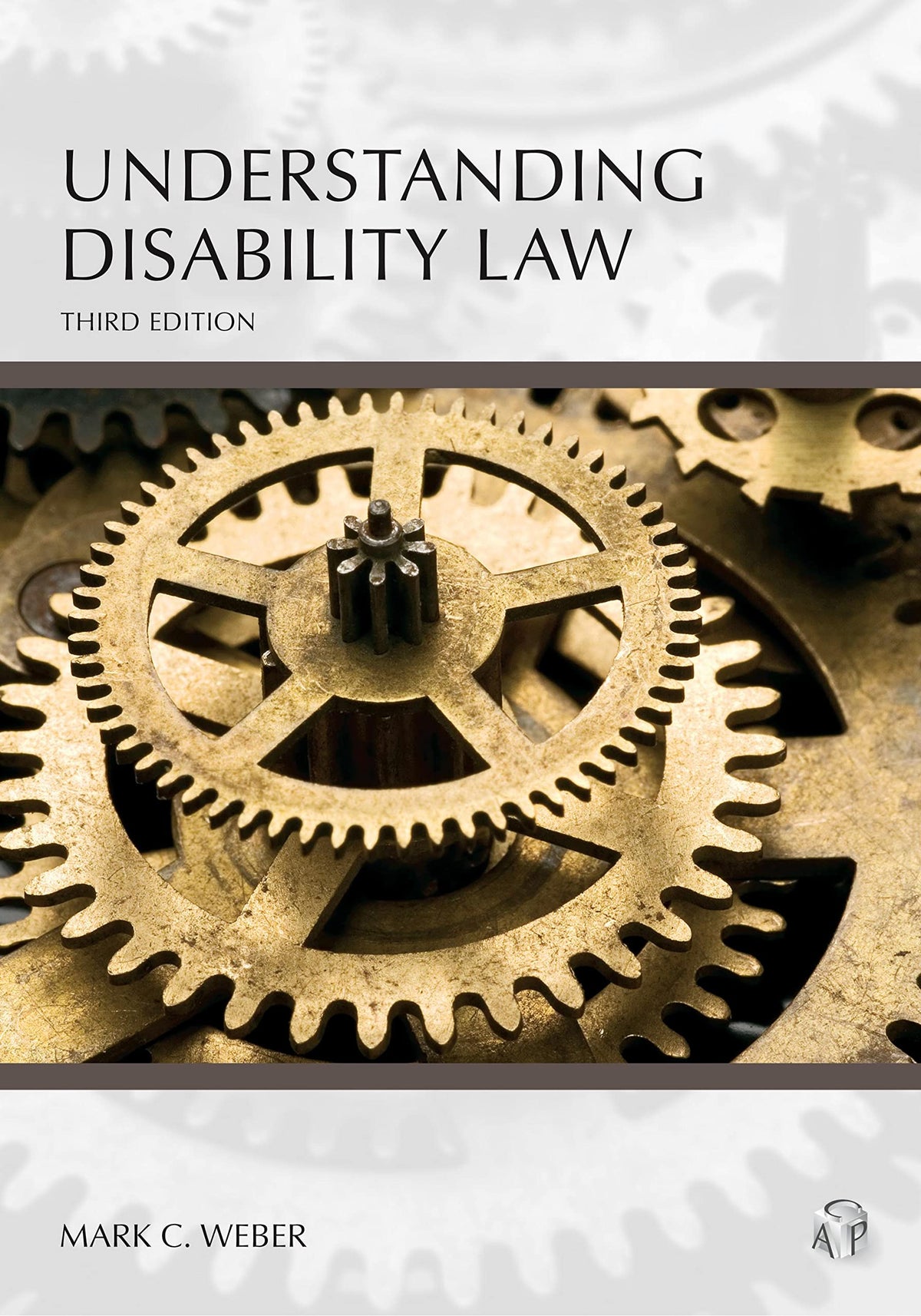 Understanding Disability Law (Understanding Series)