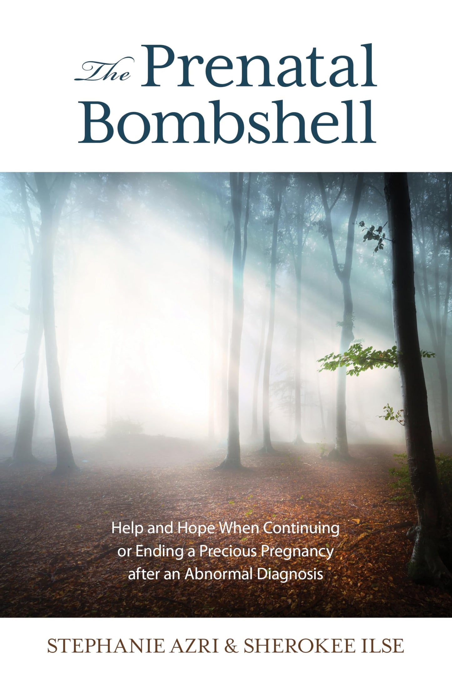 The Prenatal Bombshell: Help and Hope When Continuing or Ending a Precious Pregnancy After an Abnormal Diagnosis