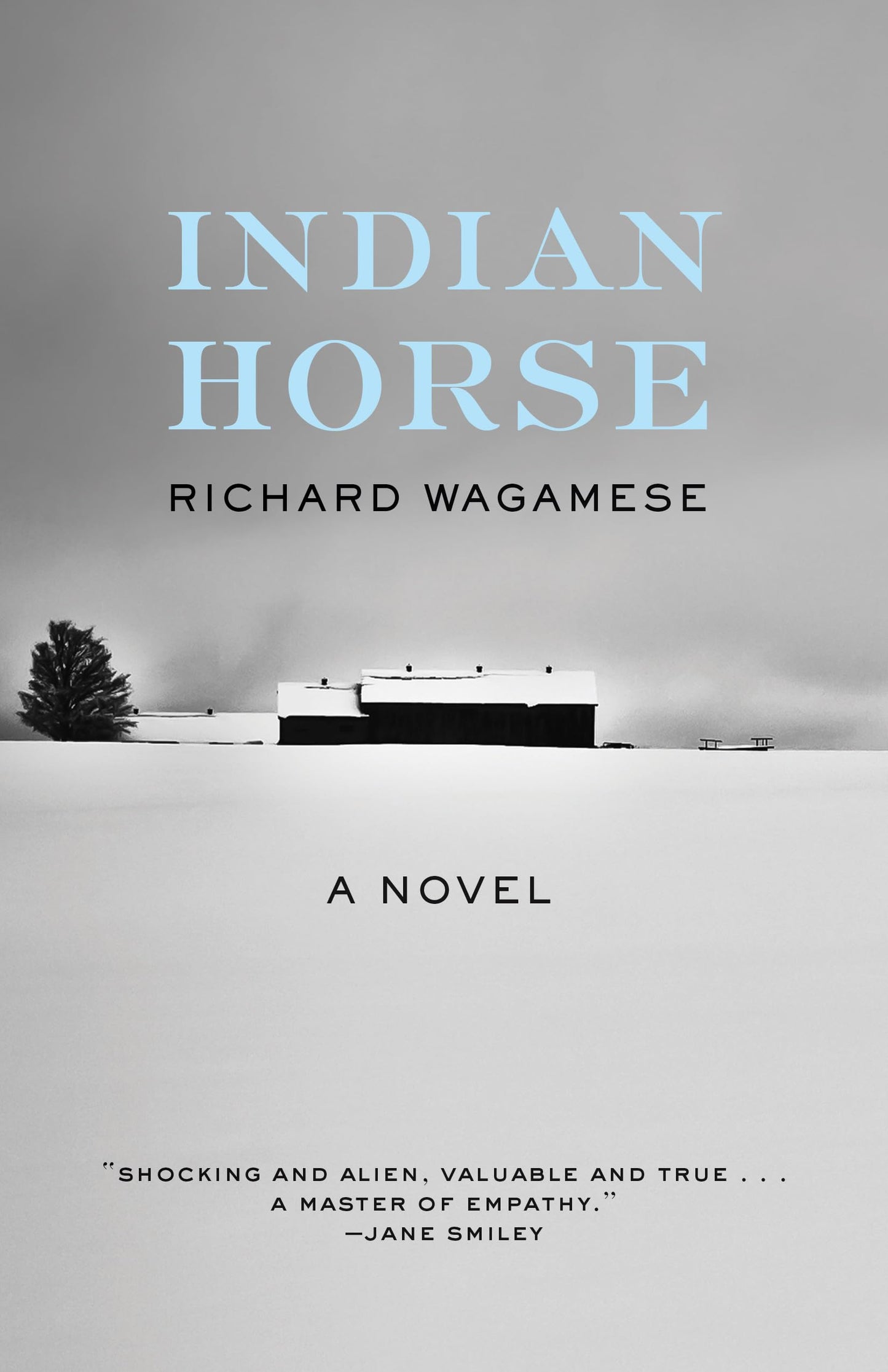 Indian Horse: A Novel - 8513
