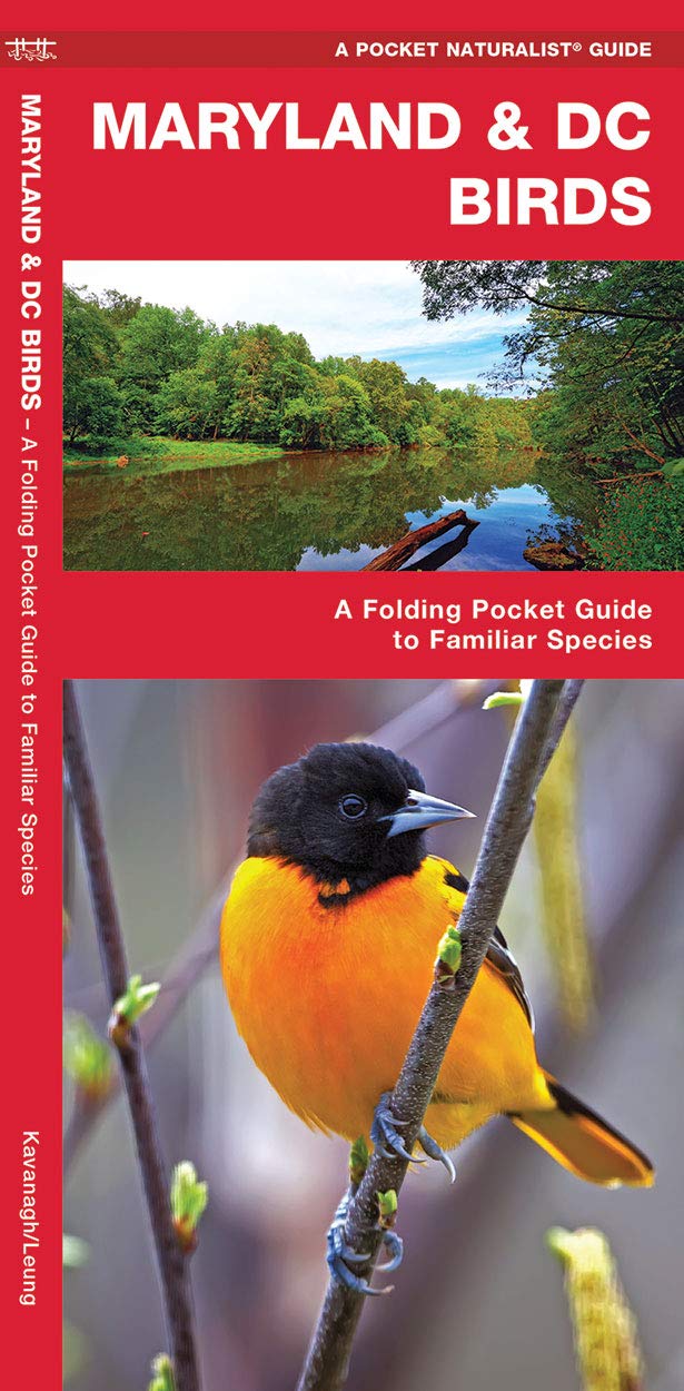 Maryland & DC Birds (Nature Observation North America)