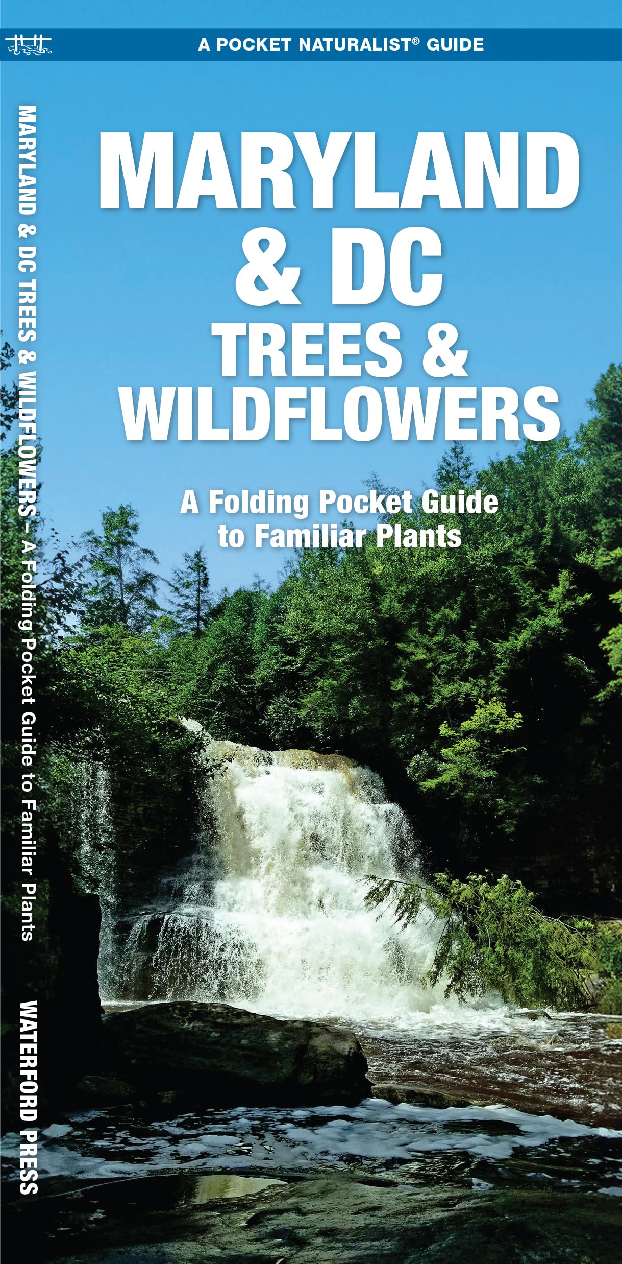 Maryland & DC Trees & Wildflowers (Nature Observation North America)