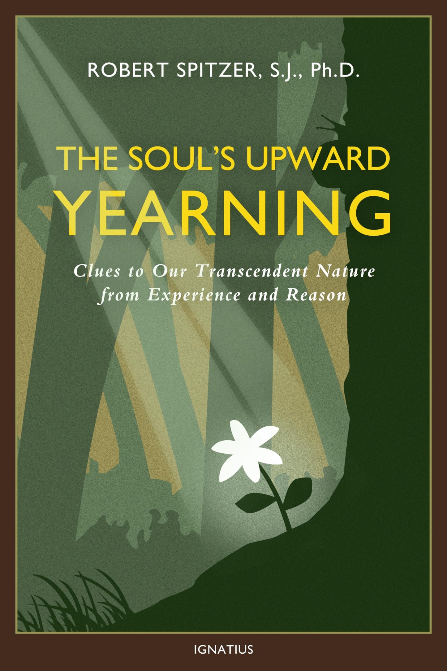 The Soul's Upward Yearning: Clues to Our Transcendent Nature from Experience and Reason (Happiness, Suffering, and Transcendence) (Volume 2) - 4424