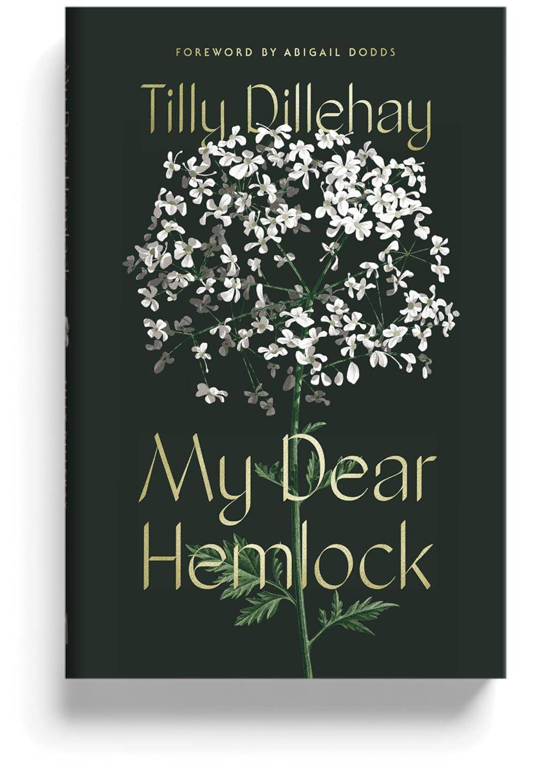 My Dear Hemlock - A Christian Fiction Book for Women on Spiritual Warfare, Temptation, and Hidden Vices