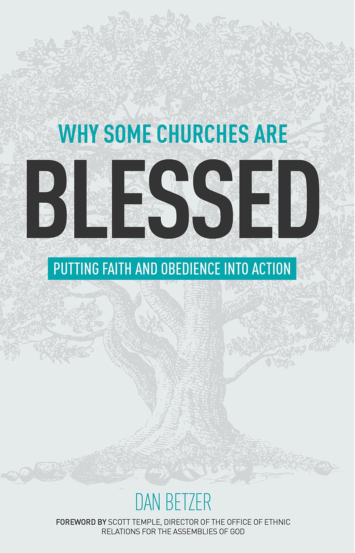 Why Some Churches Are Blessed: Putting Faith and Obedience into Action - 446