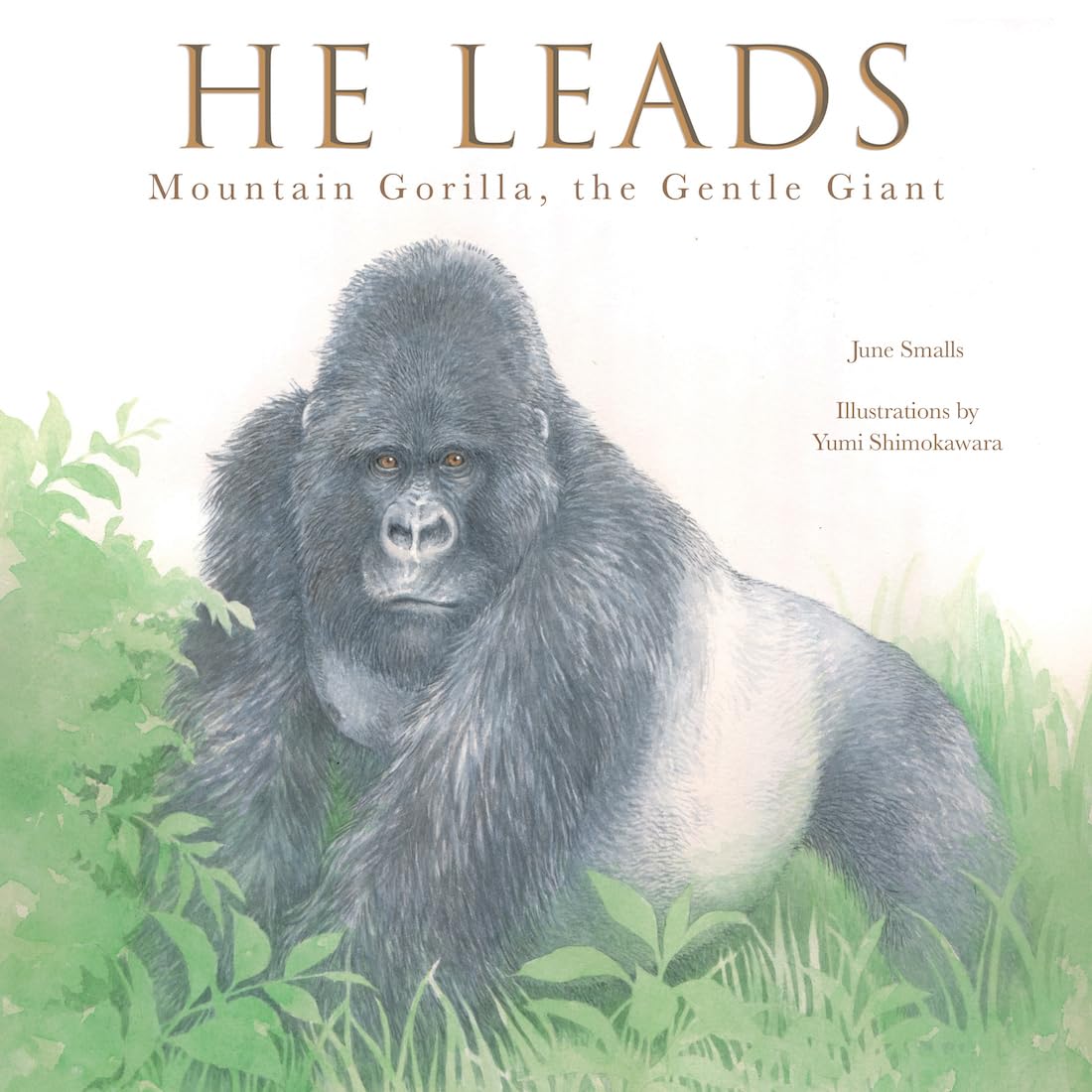 He Leads: Mountain Gorilla, the Gentle Giant