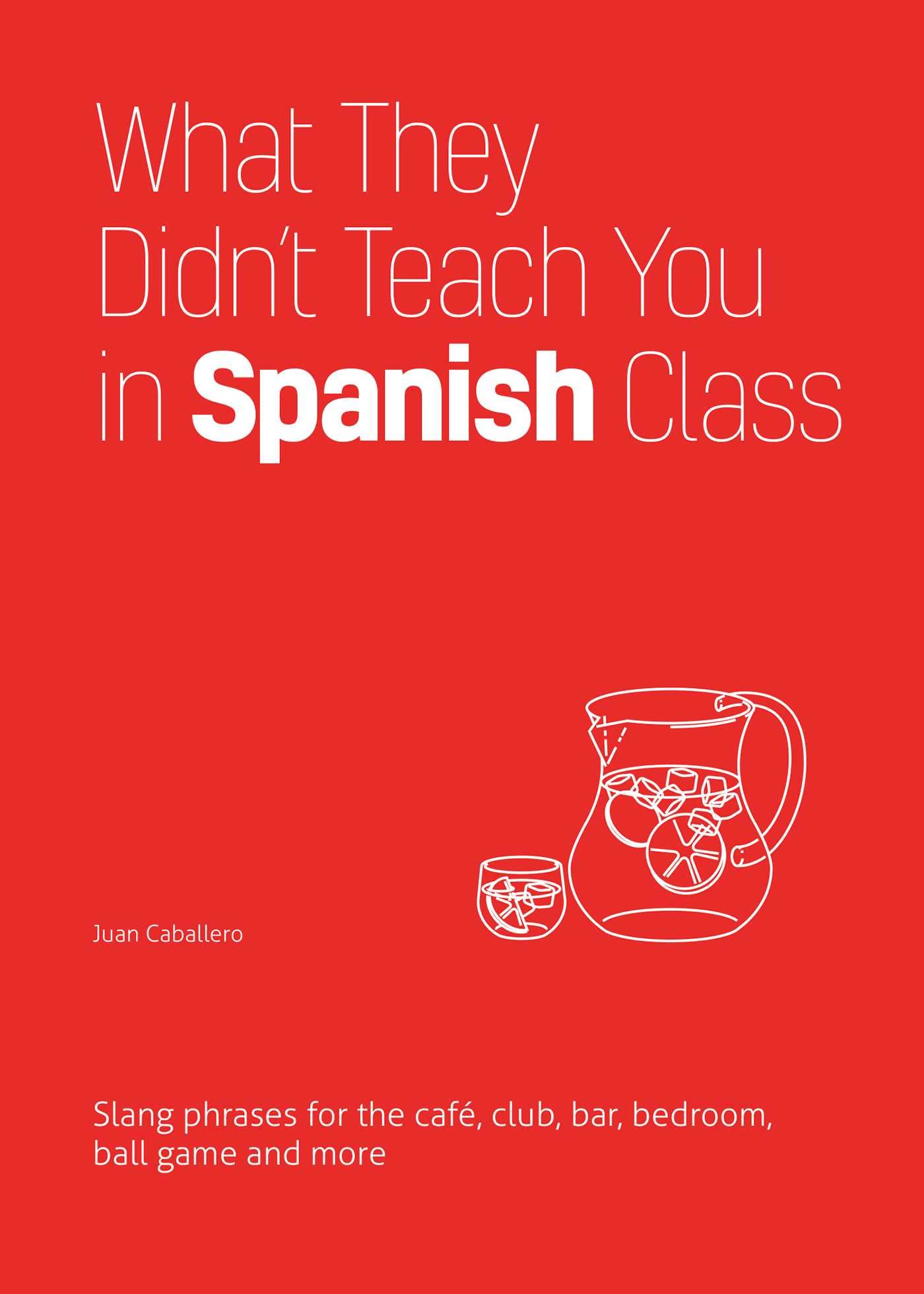 What They Didn't Teach You in Spanish Class (Slang Language Books)