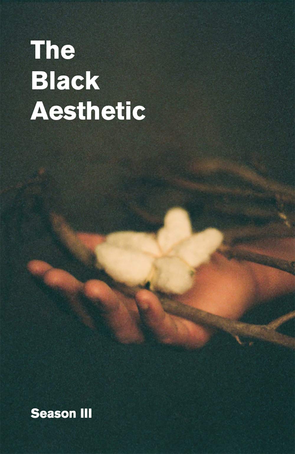 Black Aesthetic Season III: Black Interiors (The Black Aesthetic, 3)