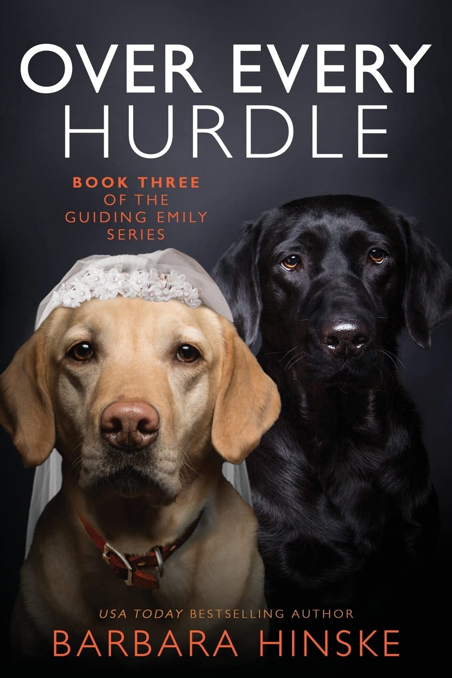 Over Every Hurdle: Book Three of the Guiding Emily Series
