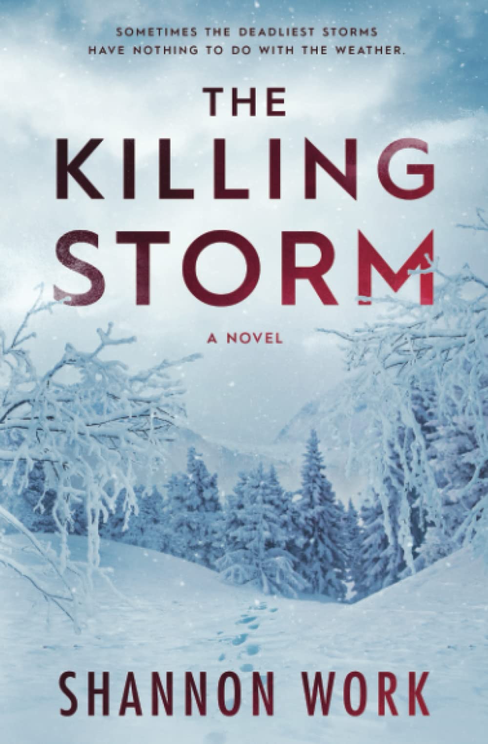 The Killing Storm (Mountain Resort Mystery series)